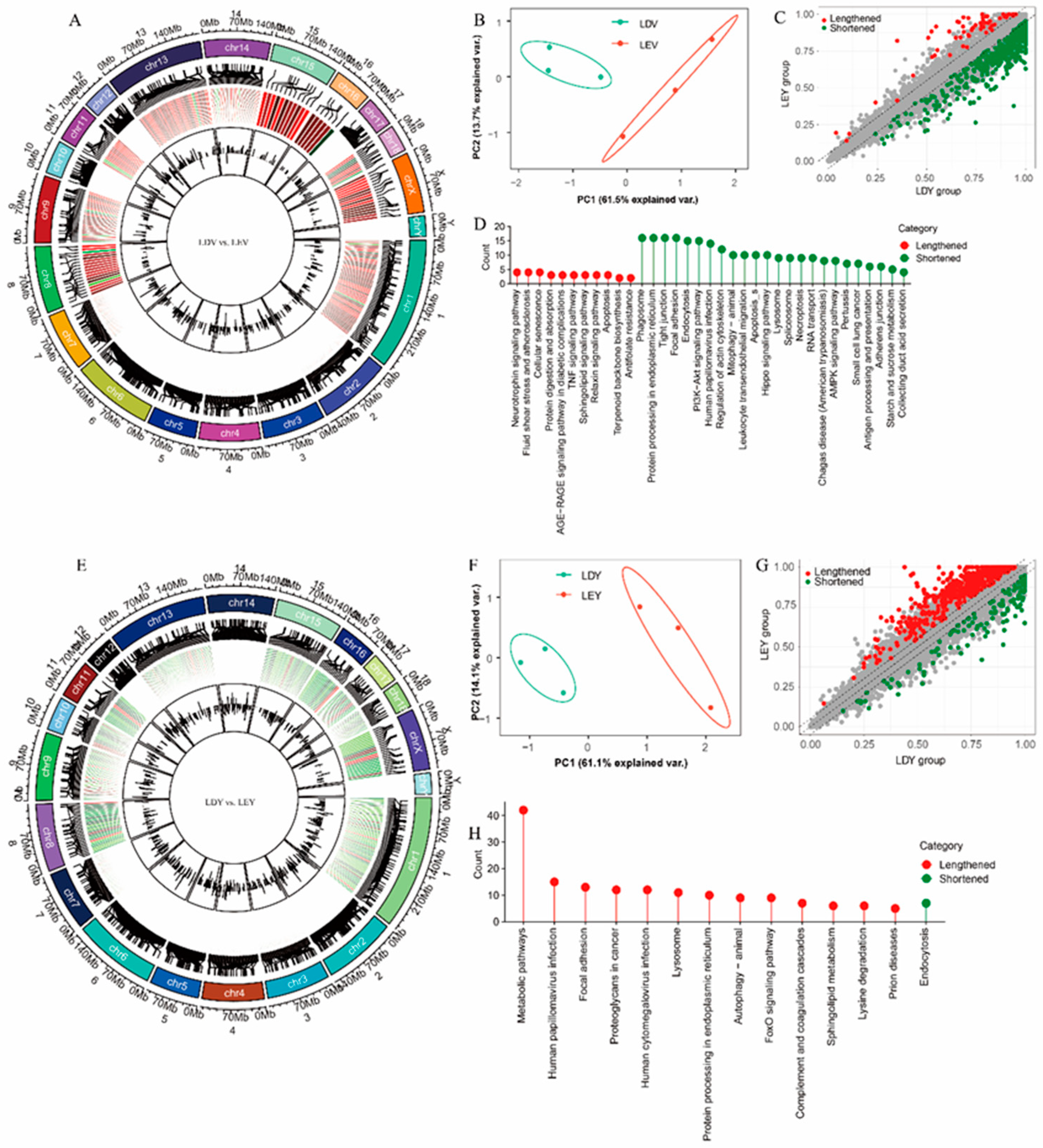 Preprints 96711 g003