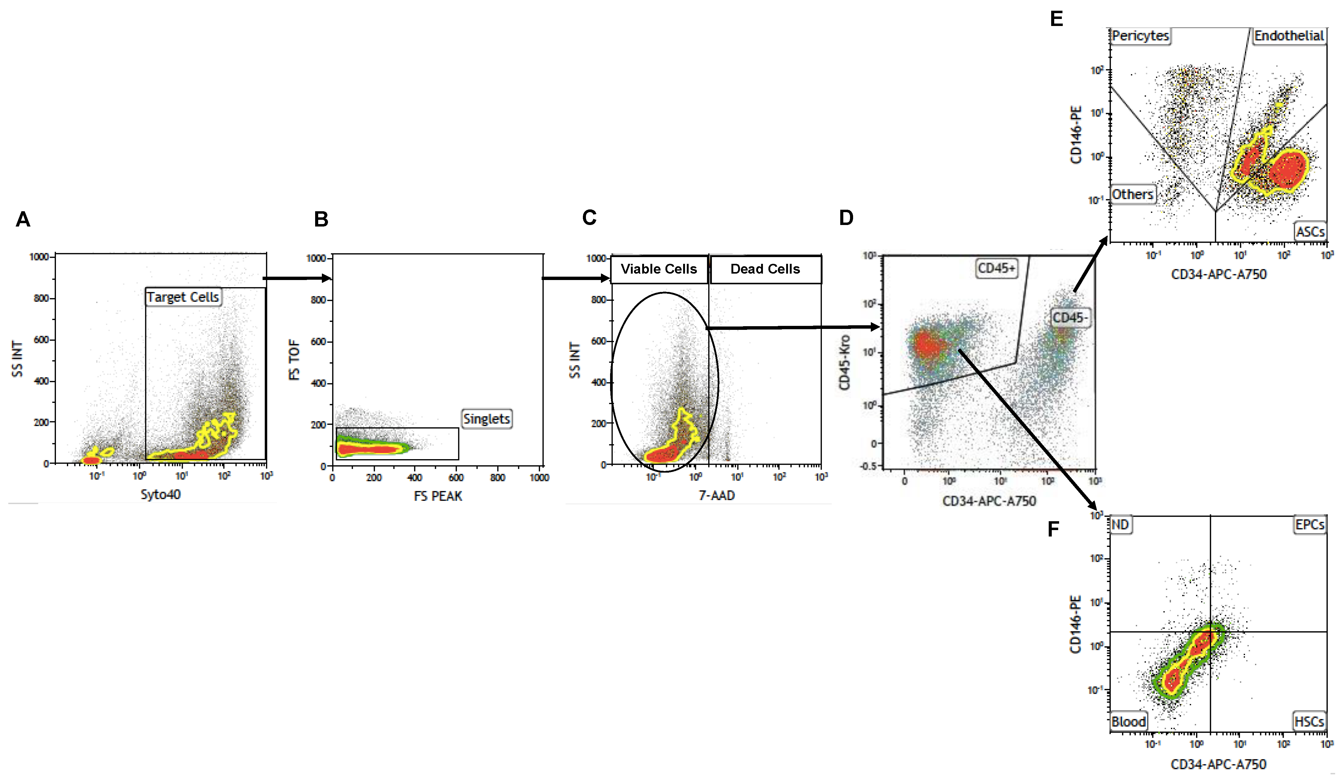 Preprints 73792 g001