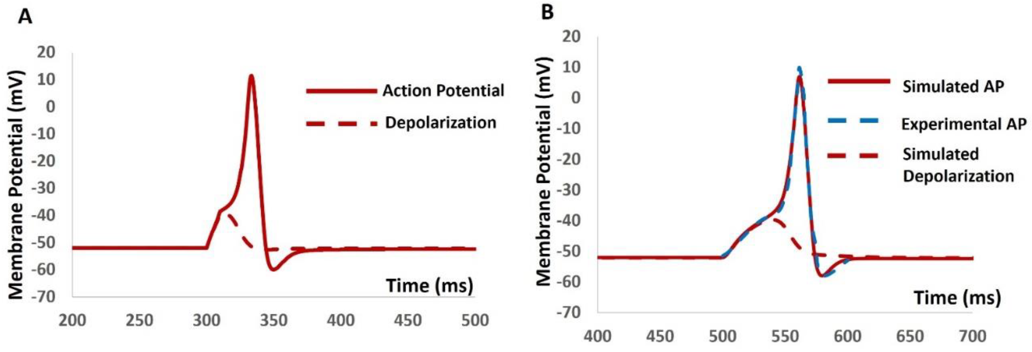 Preprints 107148 g007