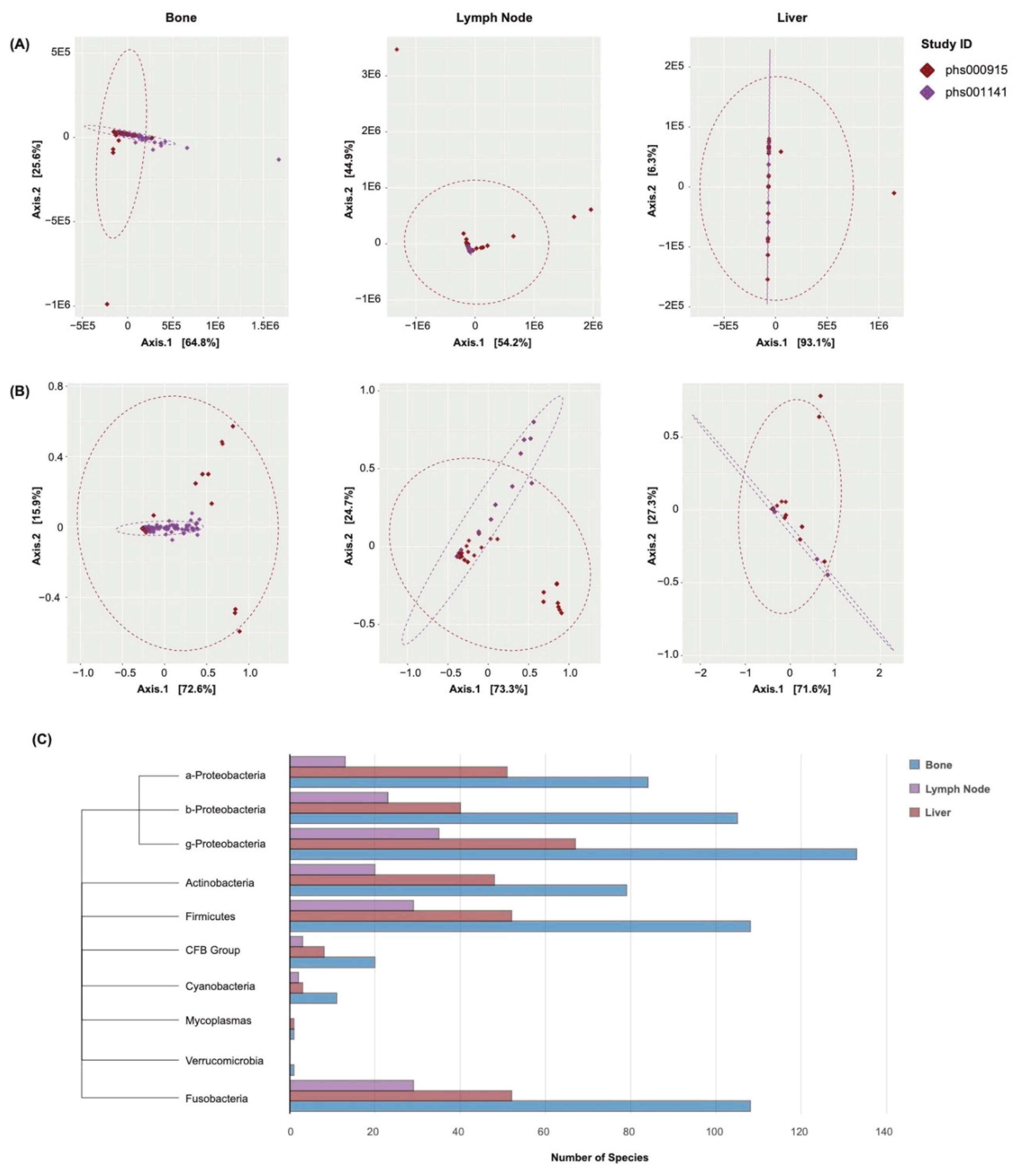 Preprints 98706 g001