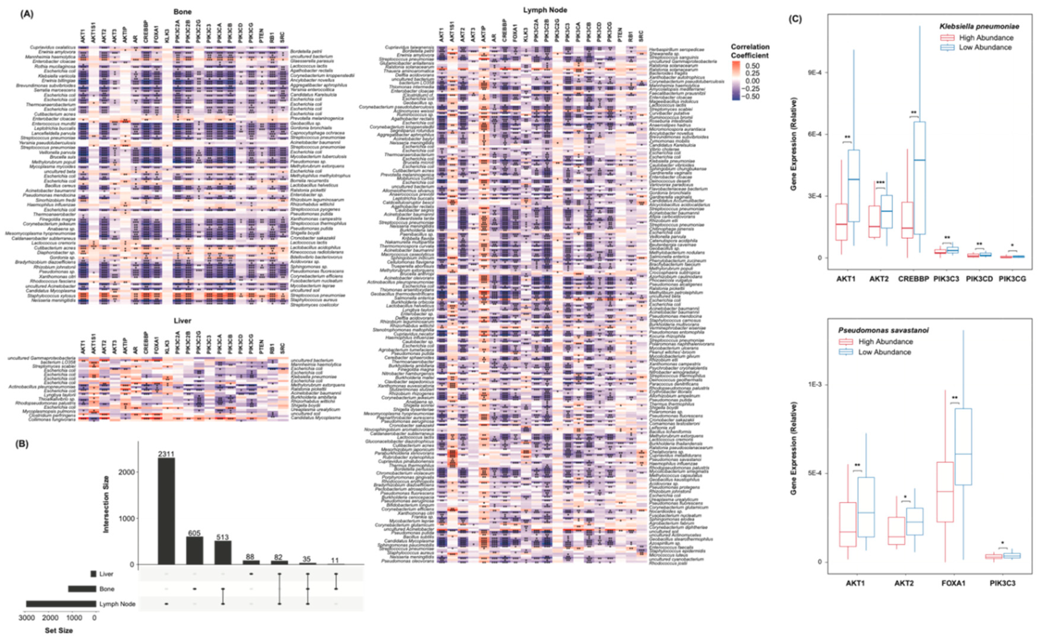 Preprints 98706 g002