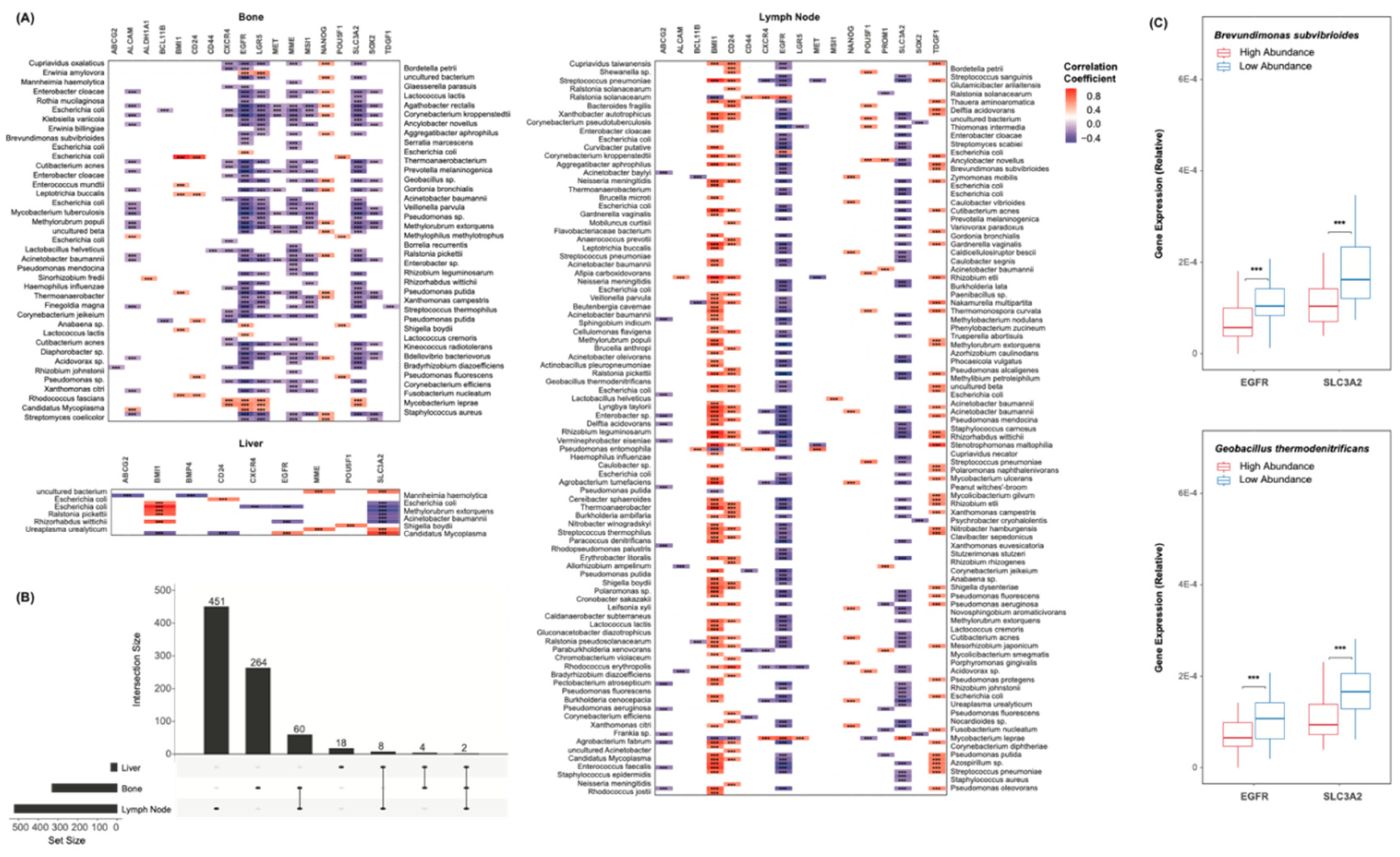 Preprints 98706 g004