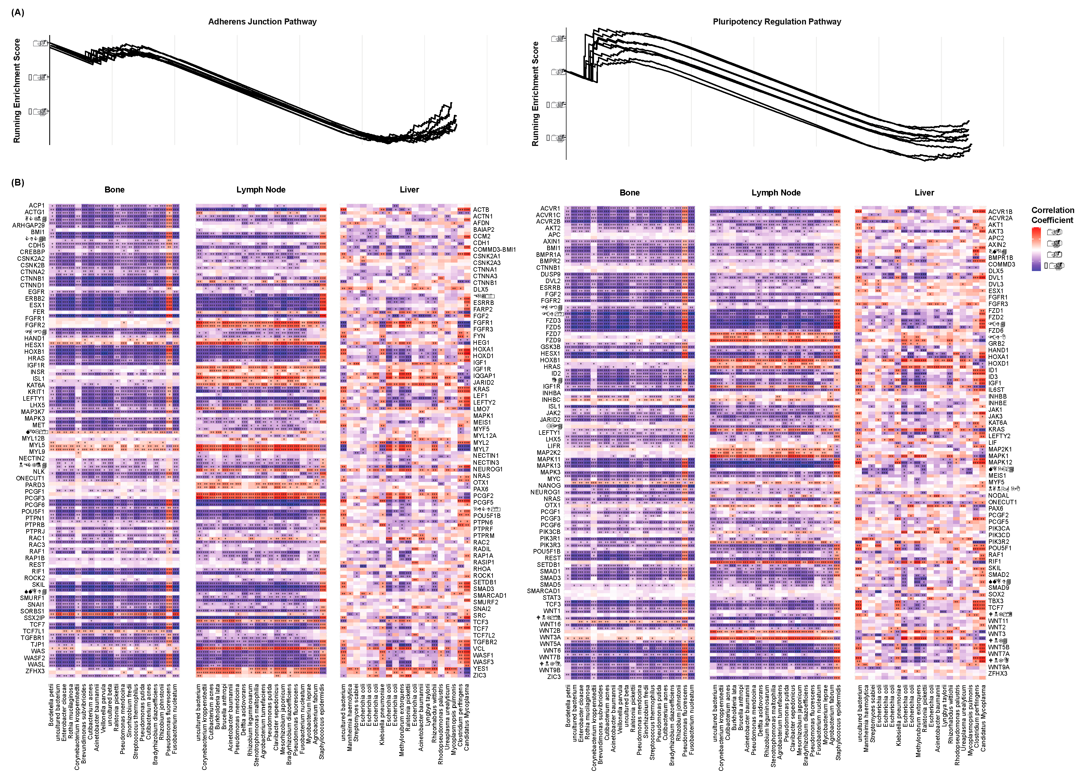 Preprints 98706 g005