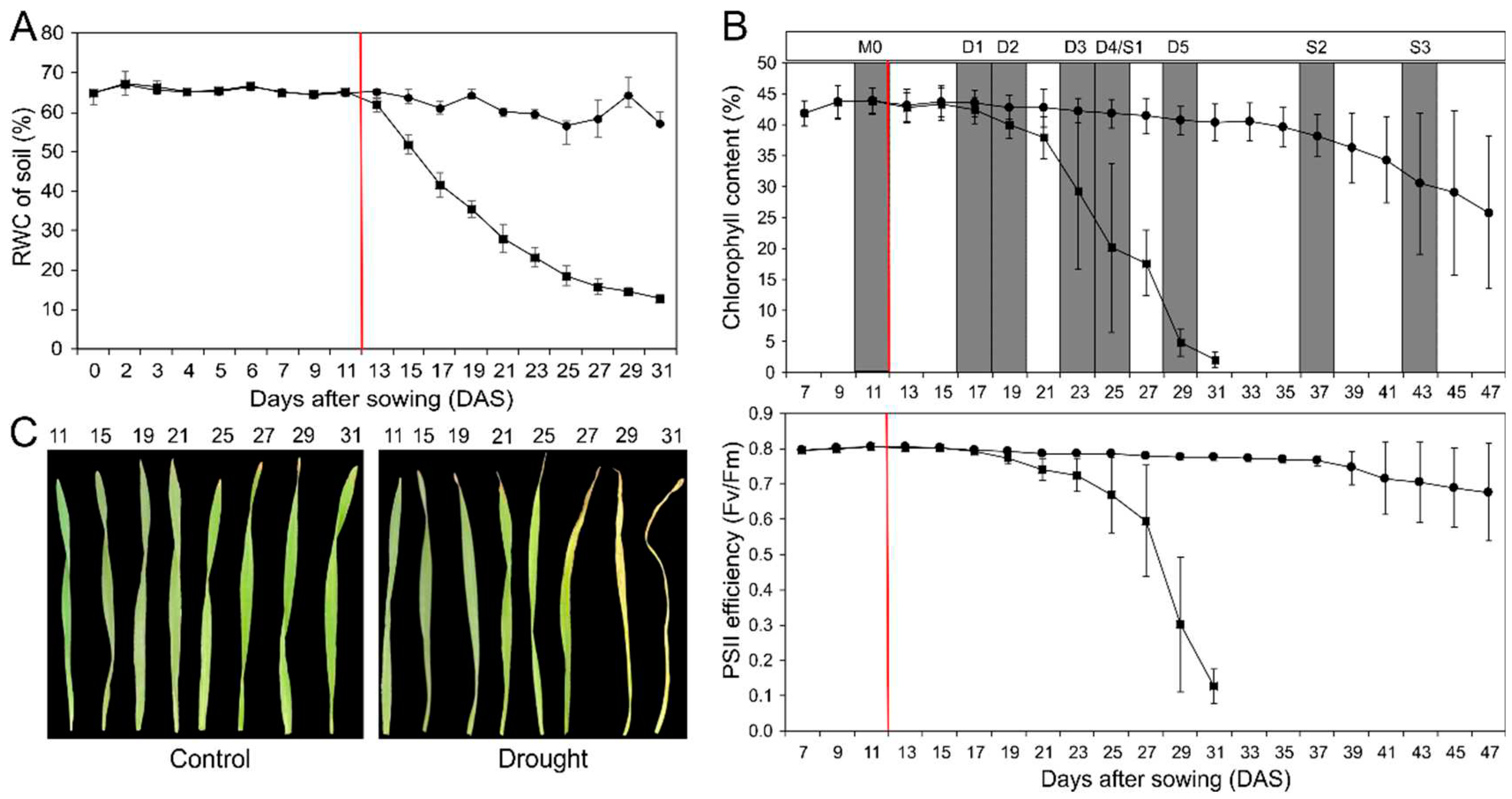 Preprints 79506 g001