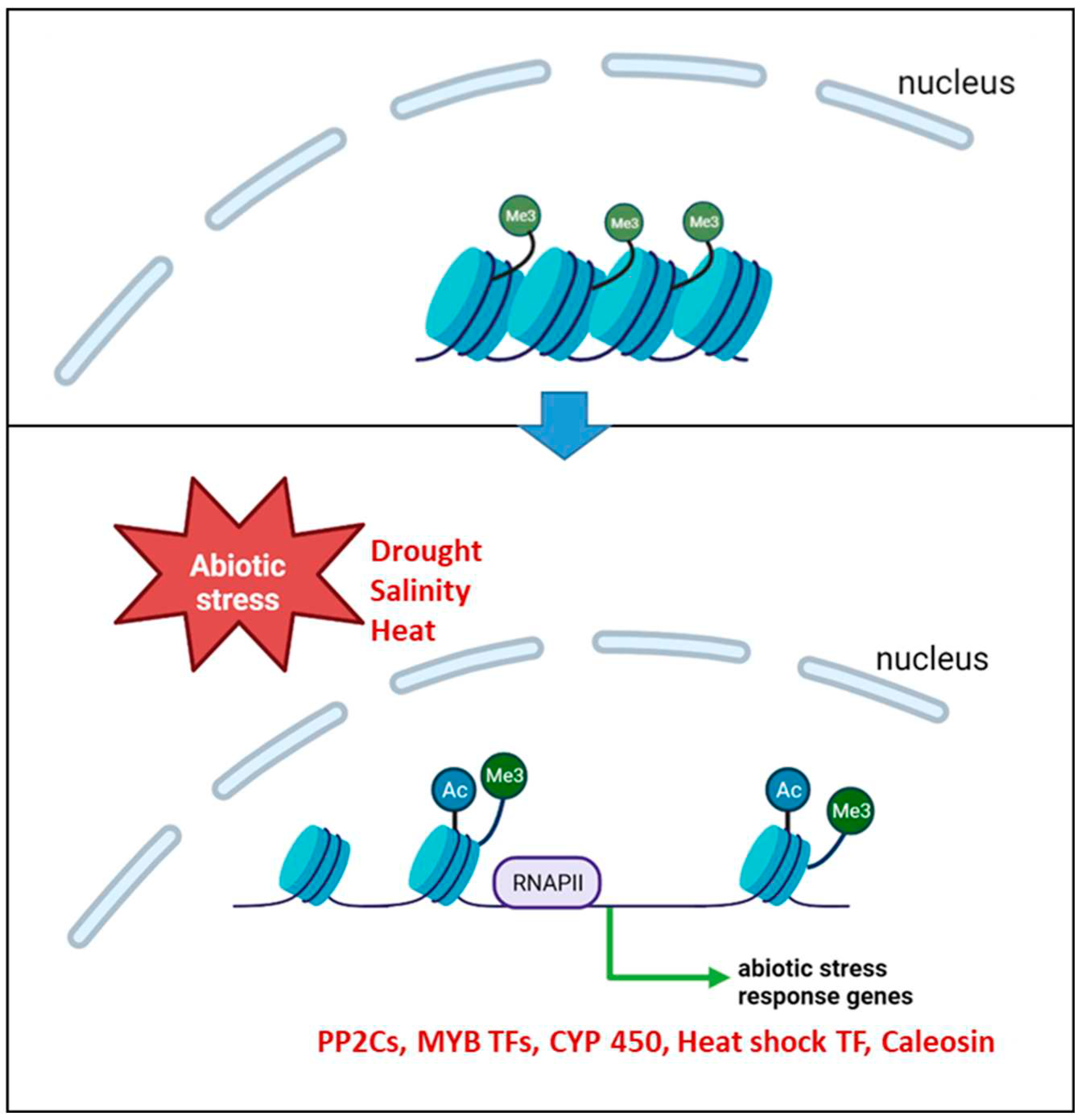 Preprints 79506 g007