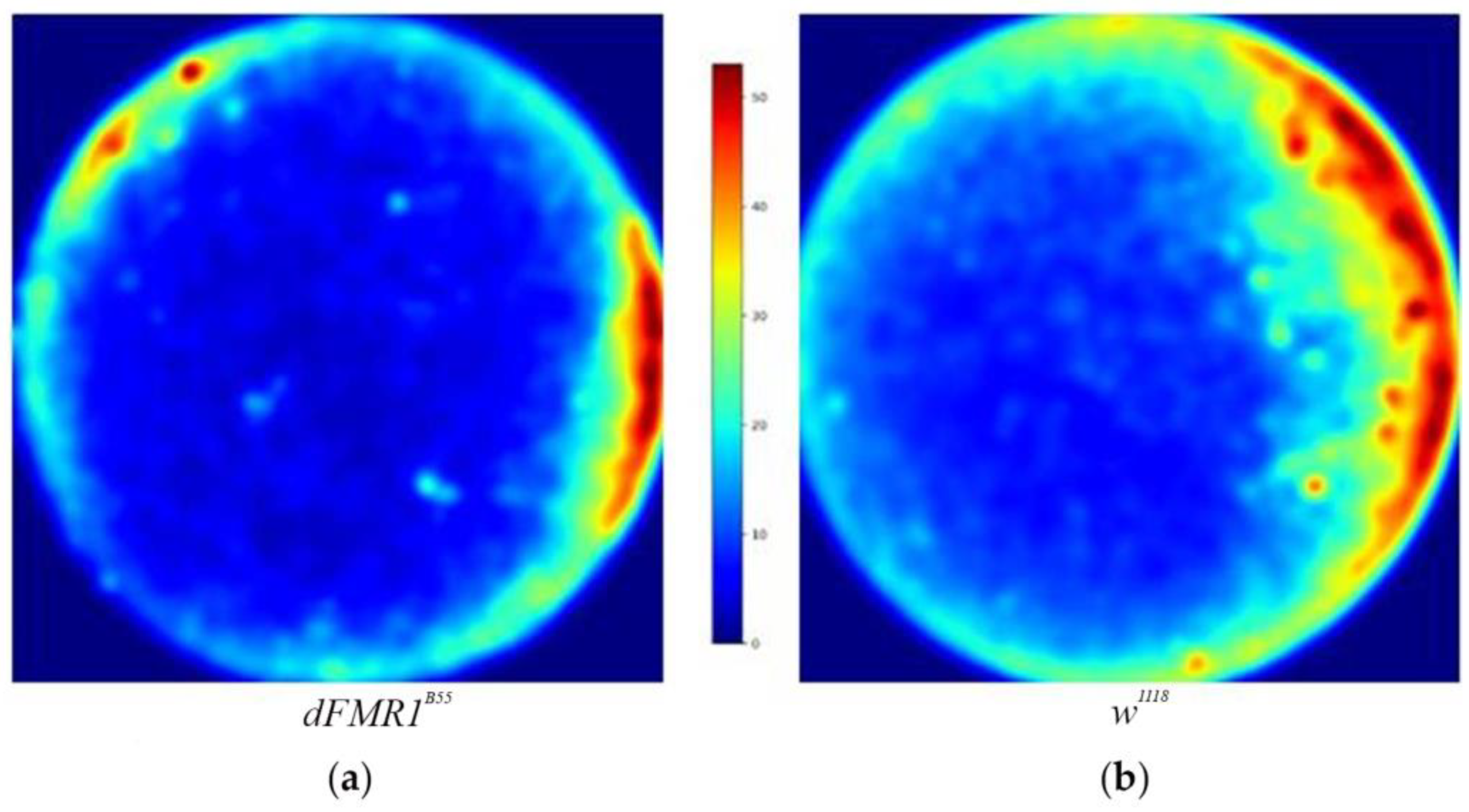 Preprints 104778 g002