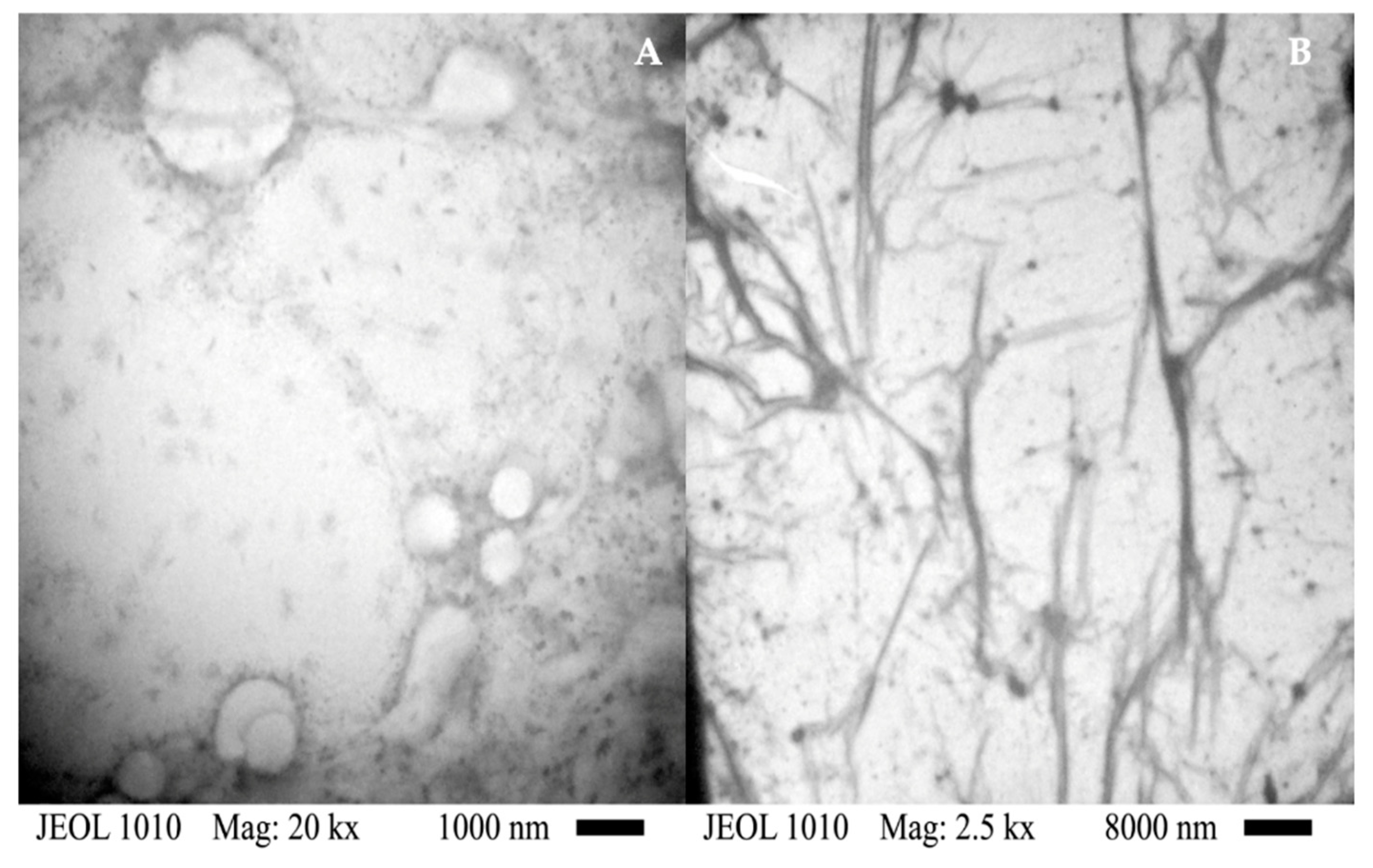 Preprints 81423 g005