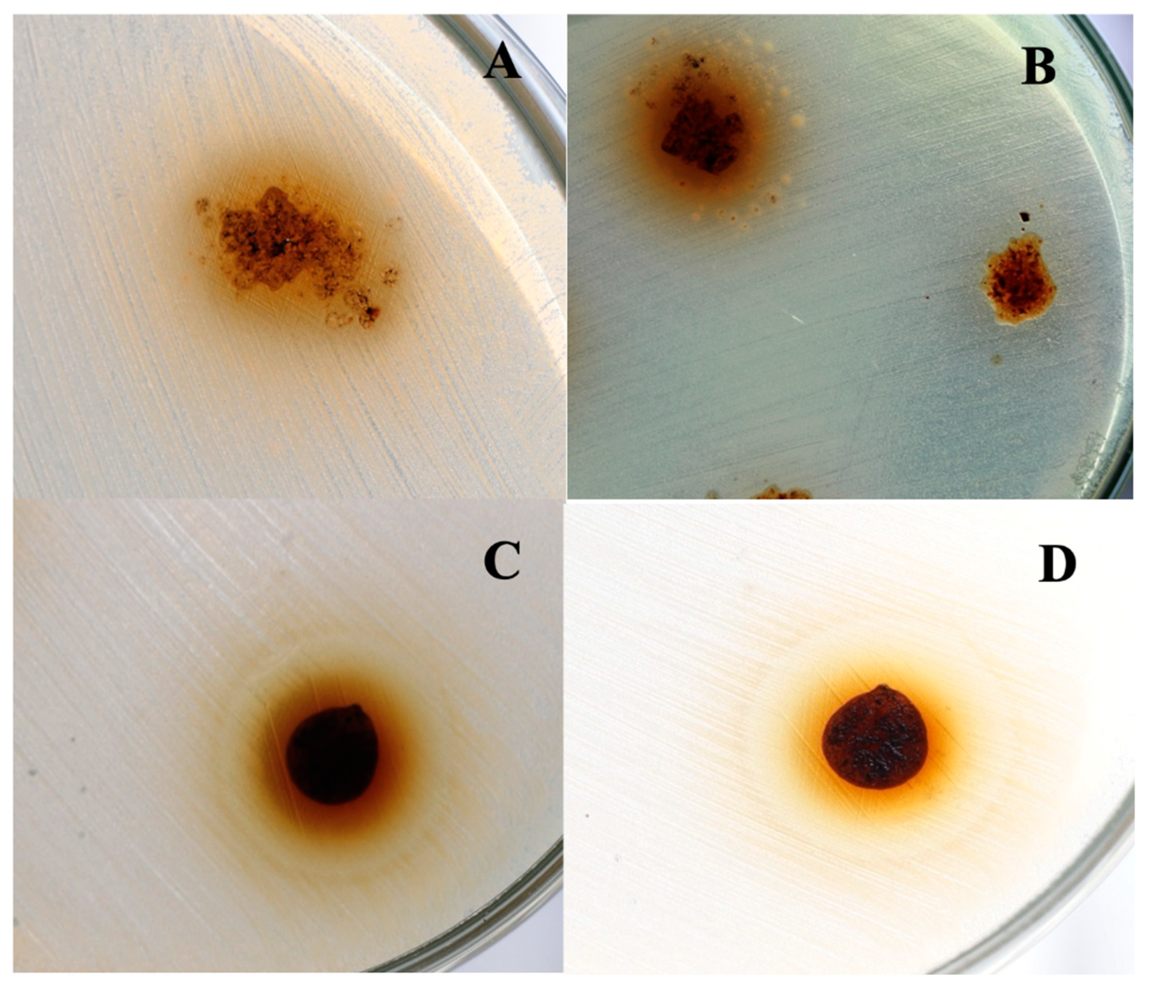 Preprints 81423 g008