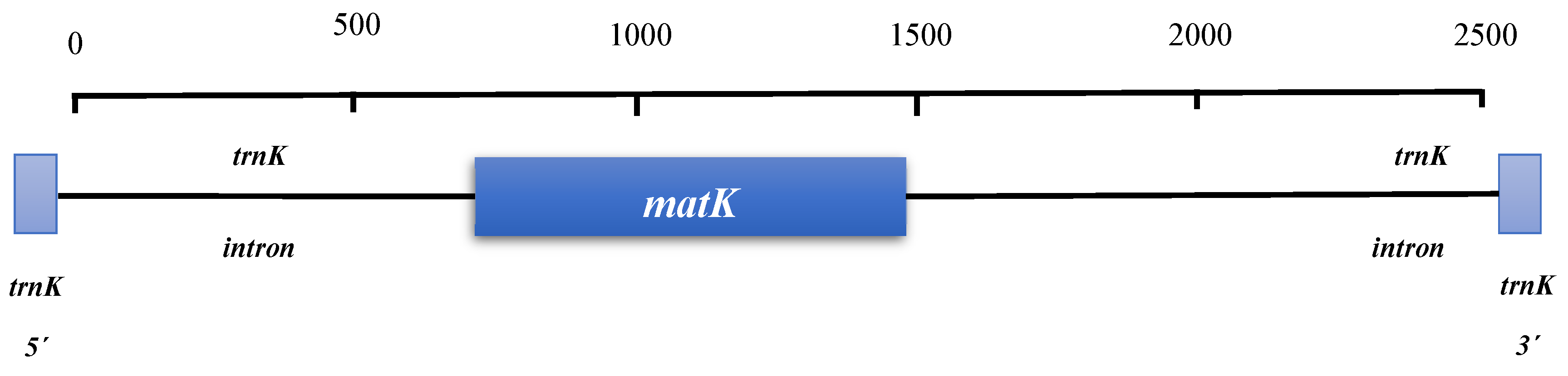 Preprints 100766 g005