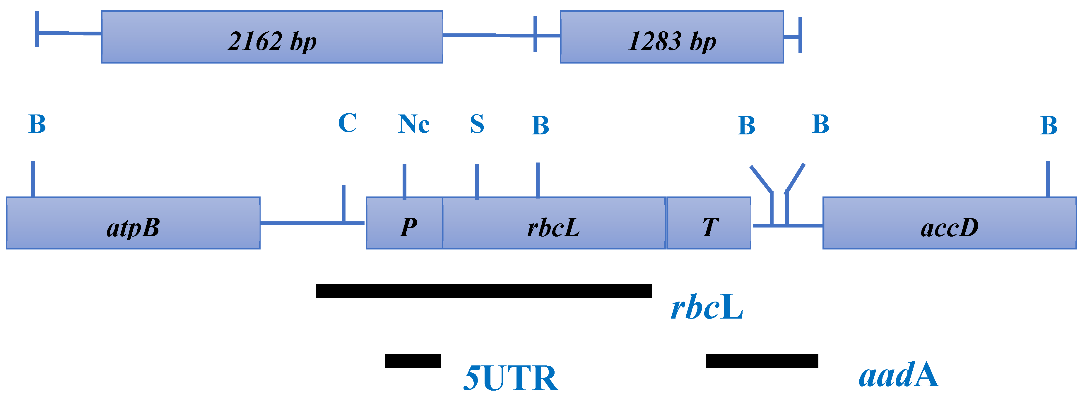 Preprints 100766 g006