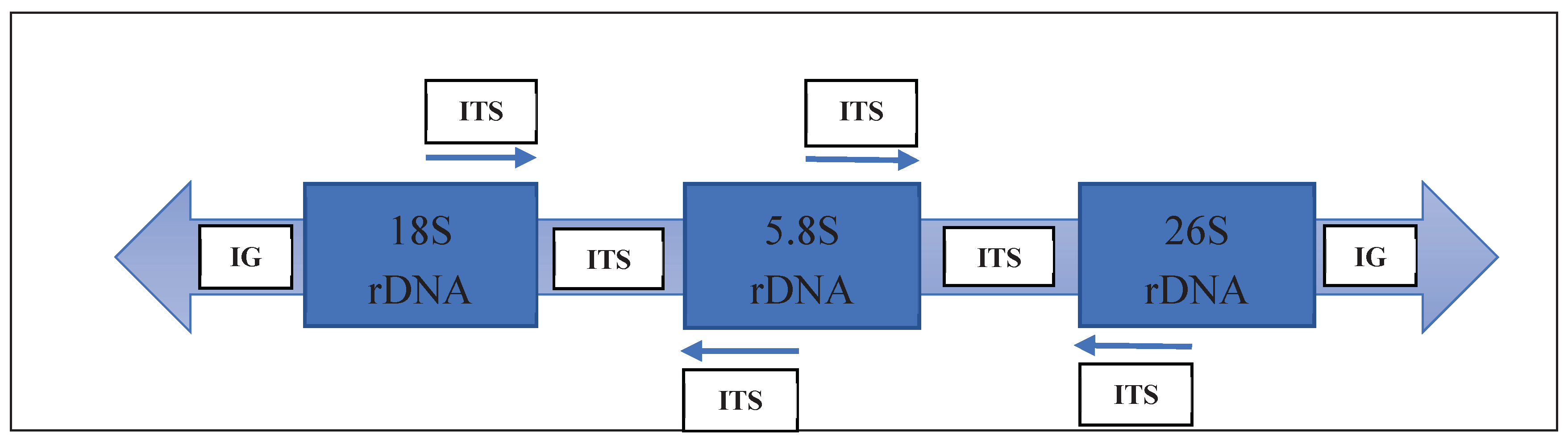 Preprints 100766 g008