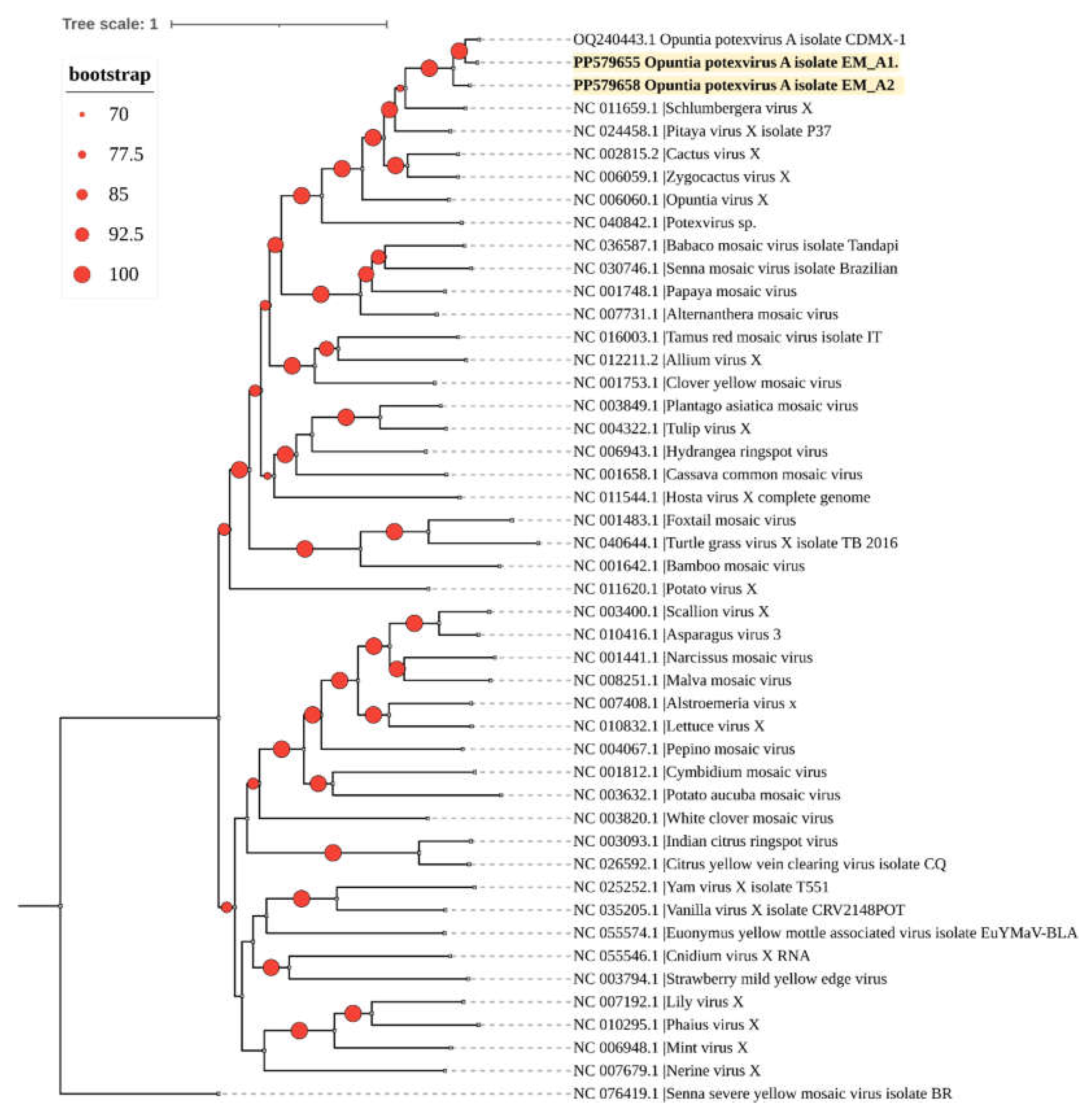 Preprints 110351 g004