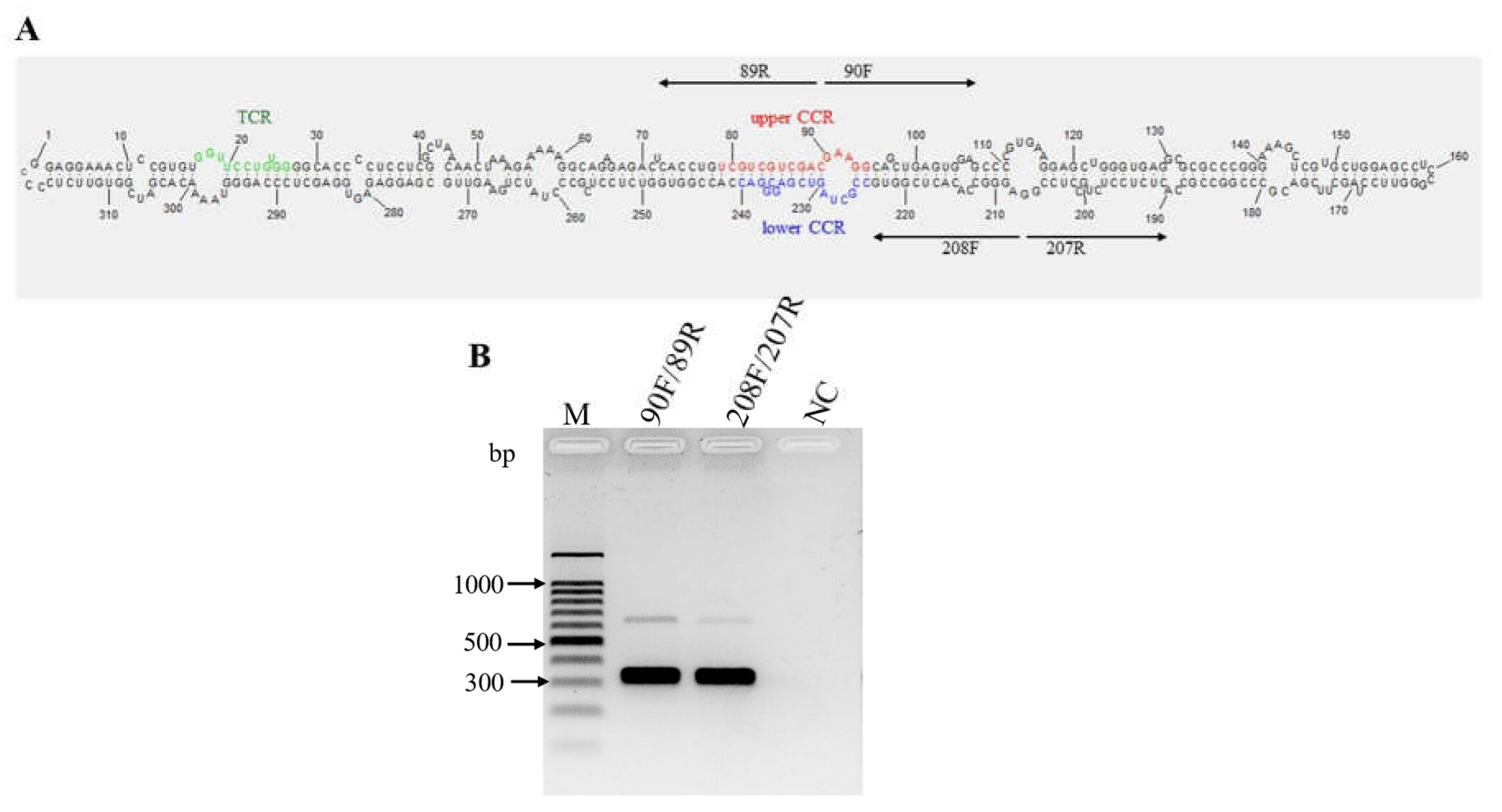 Preprints 110351 g005