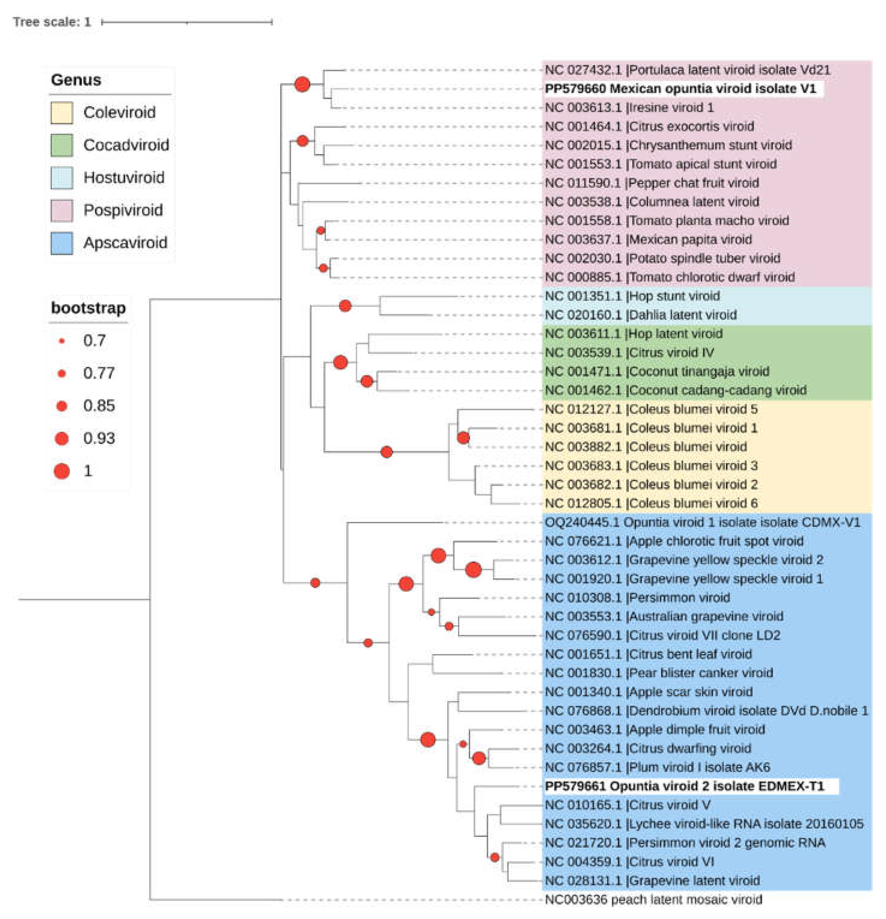 Preprints 110351 g006