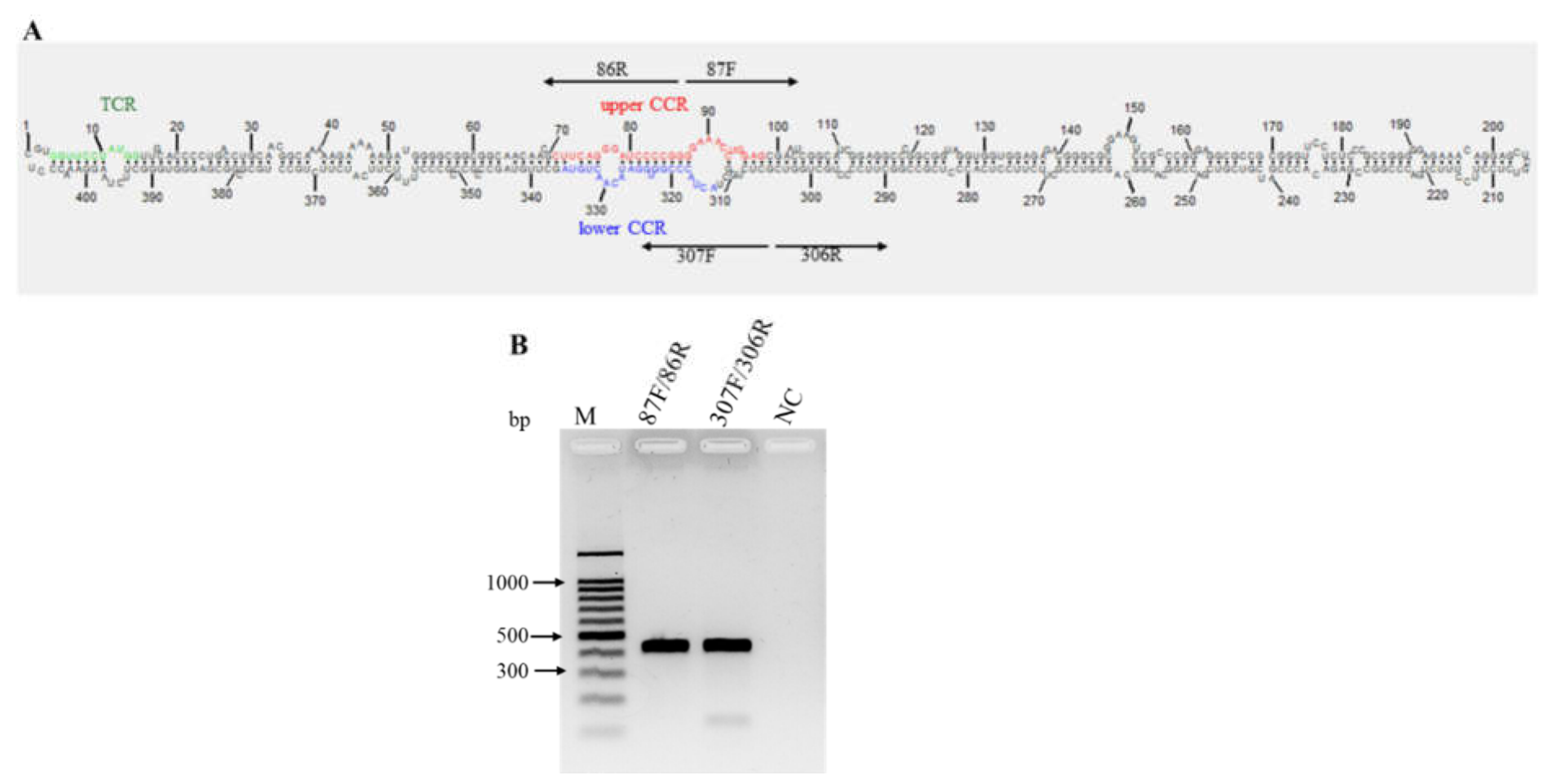 Preprints 110351 g008