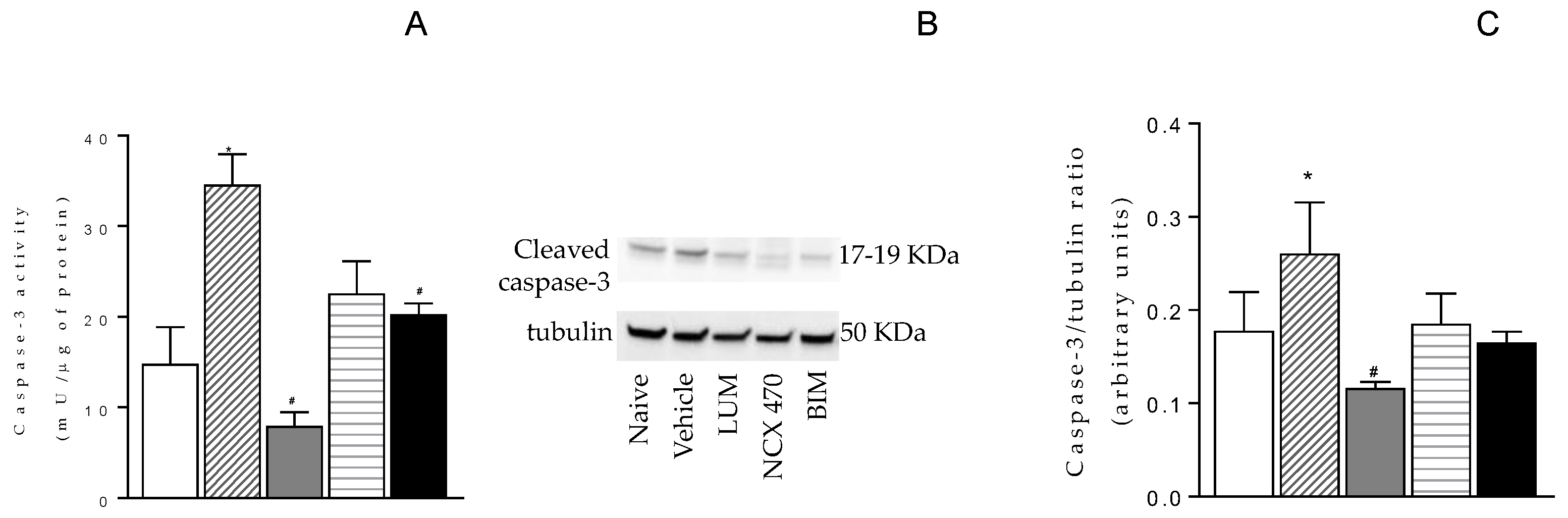 Preprints 72162 g003