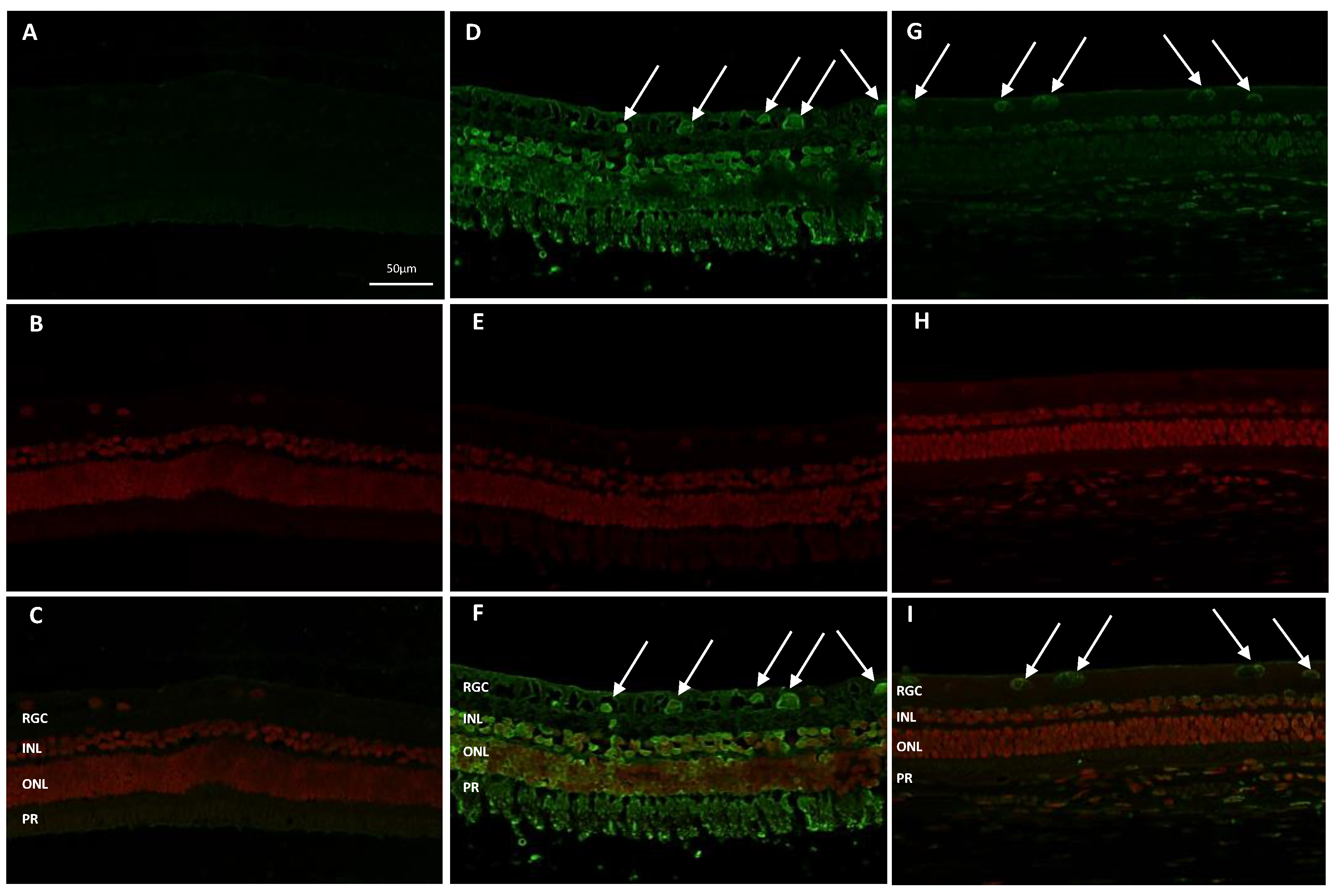 Preprints 72162 g004