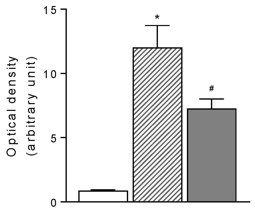 Preprints 72162 g005