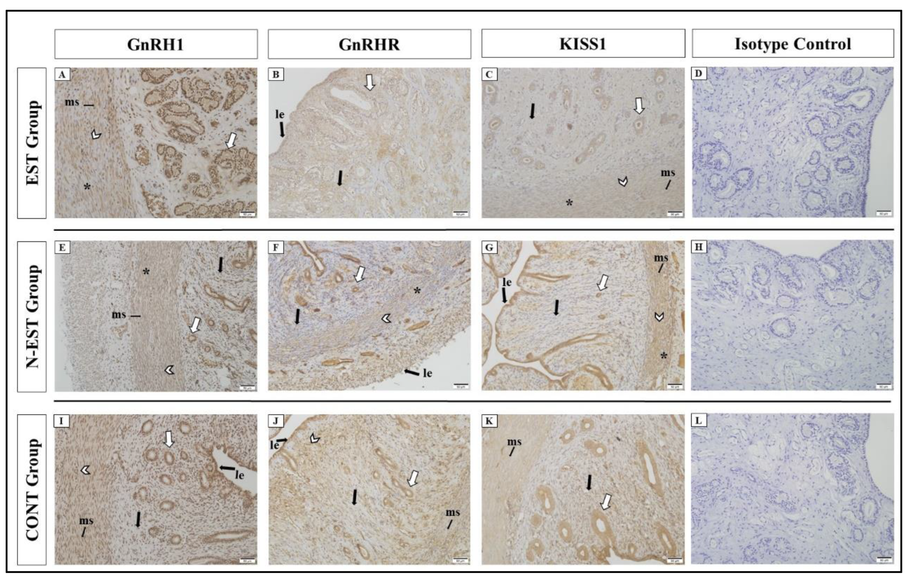 Preprints 121650 g005