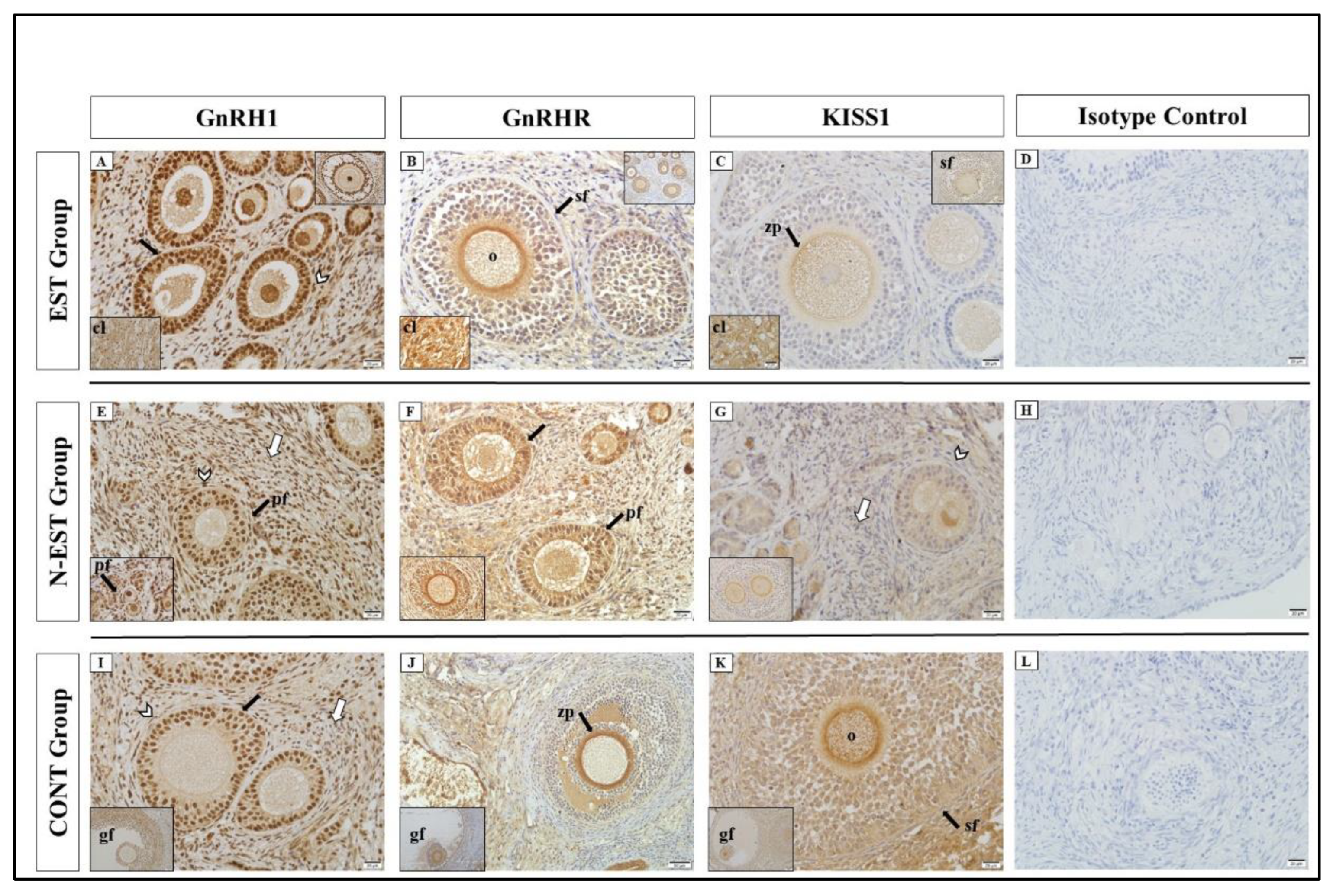 Preprints 121650 g006