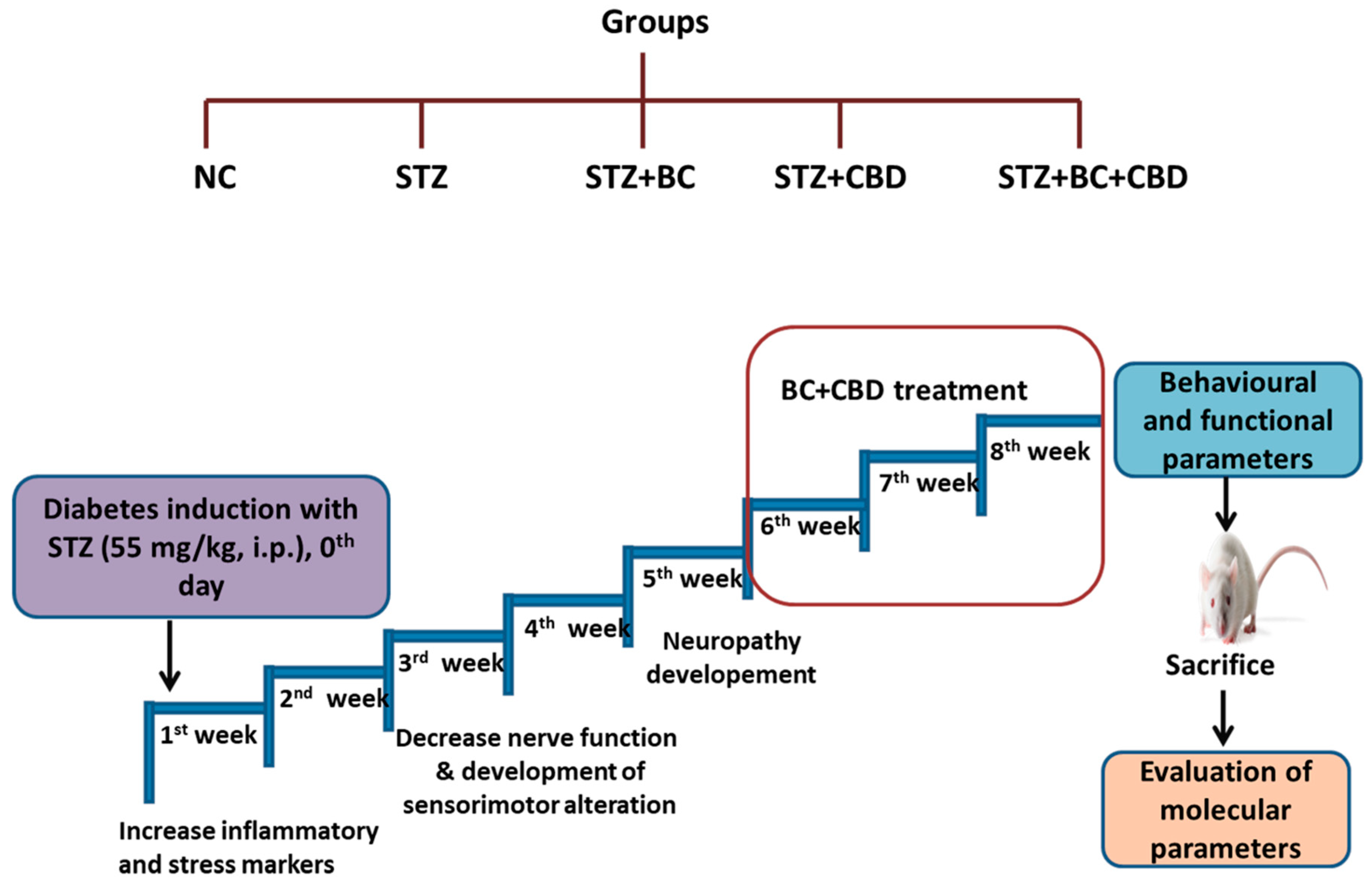 Preprints 105007 g001