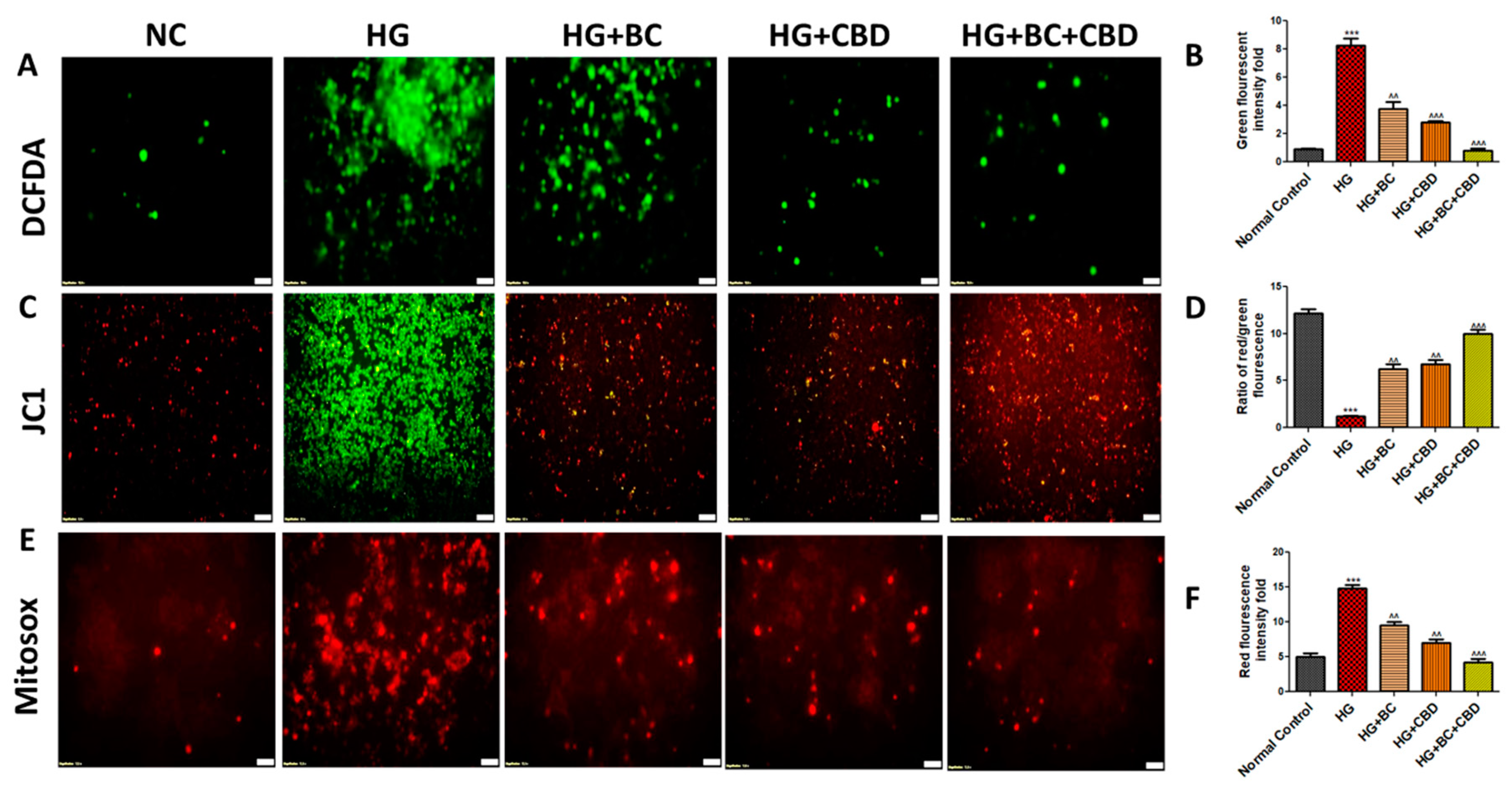 Preprints 105007 g003