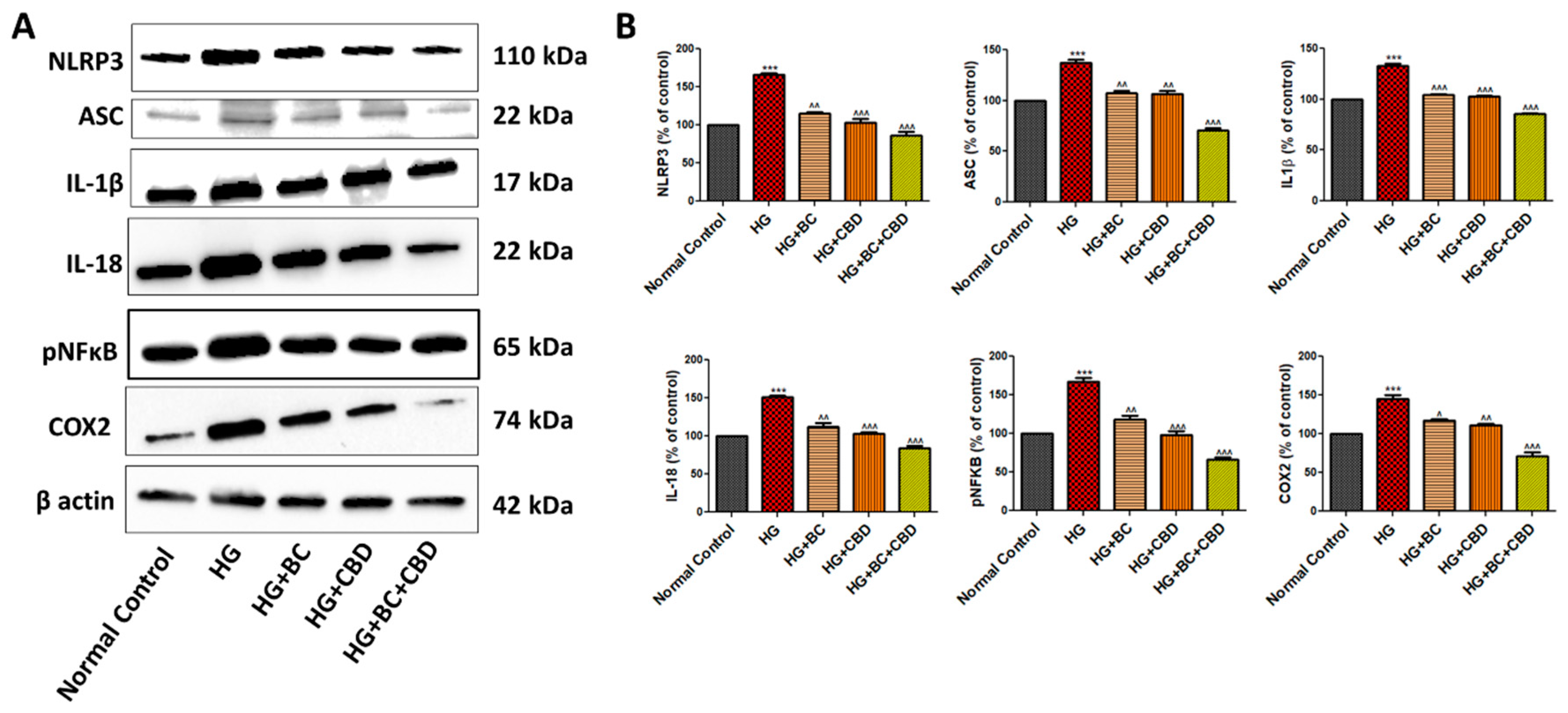 Preprints 105007 g005