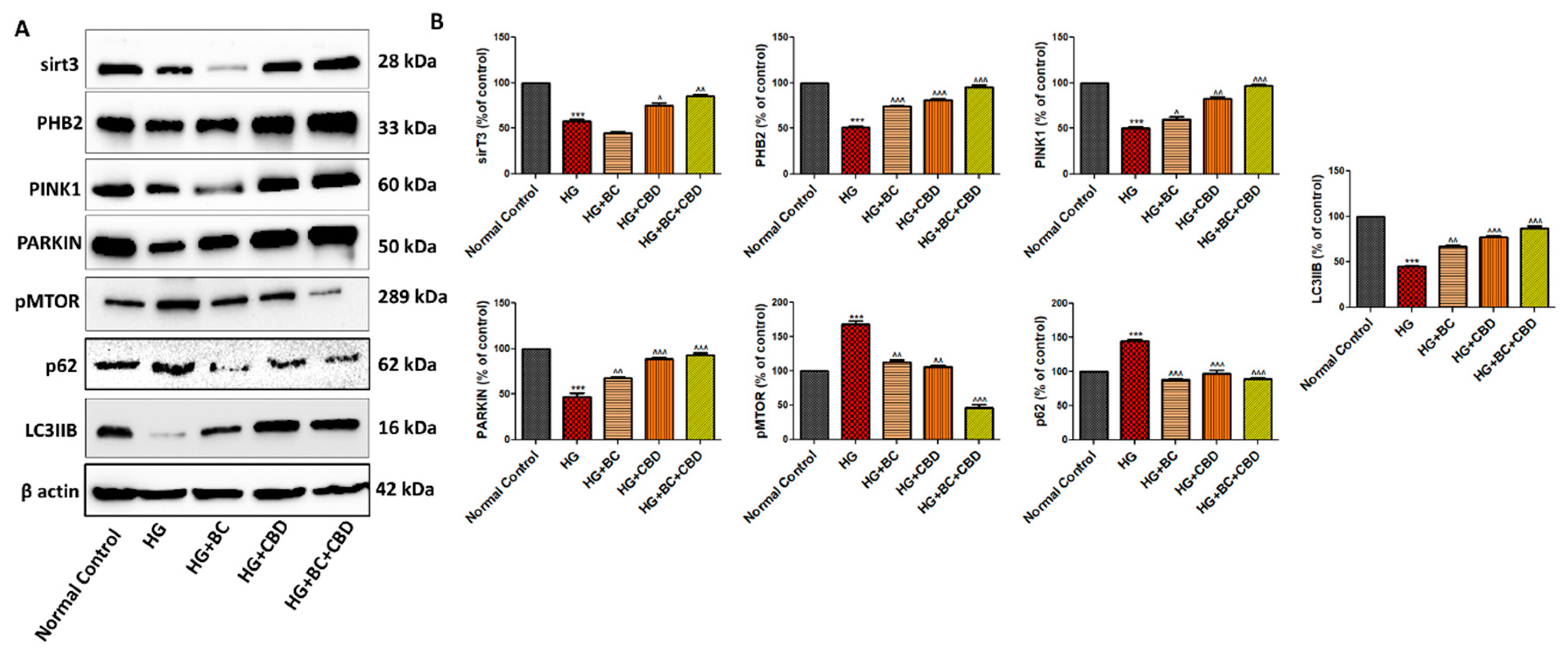 Preprints 105007 g006