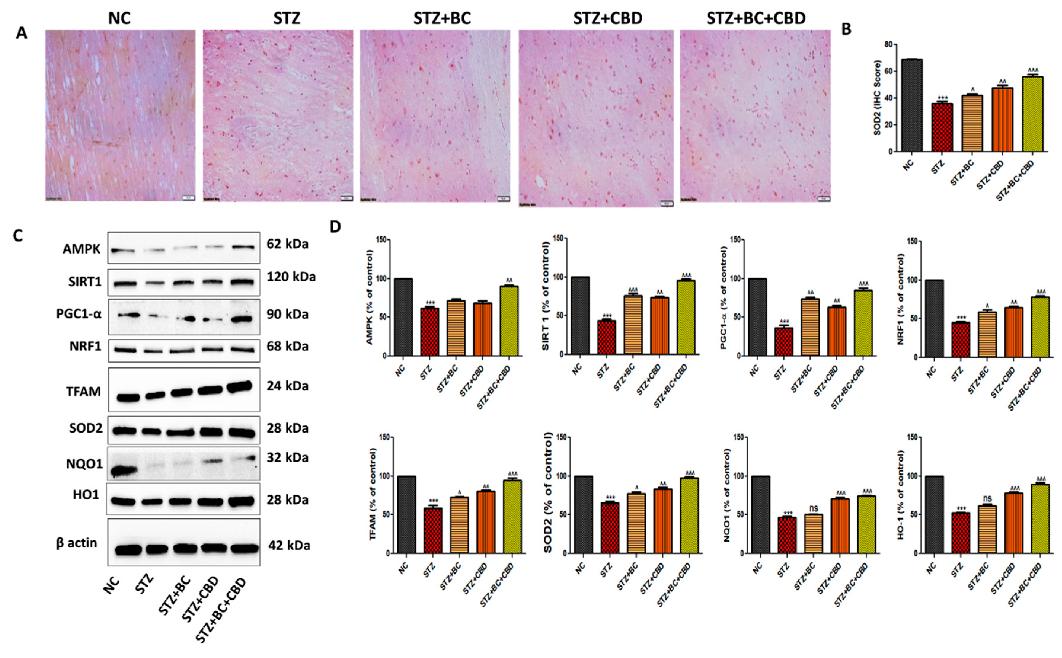 Preprints 105007 g009