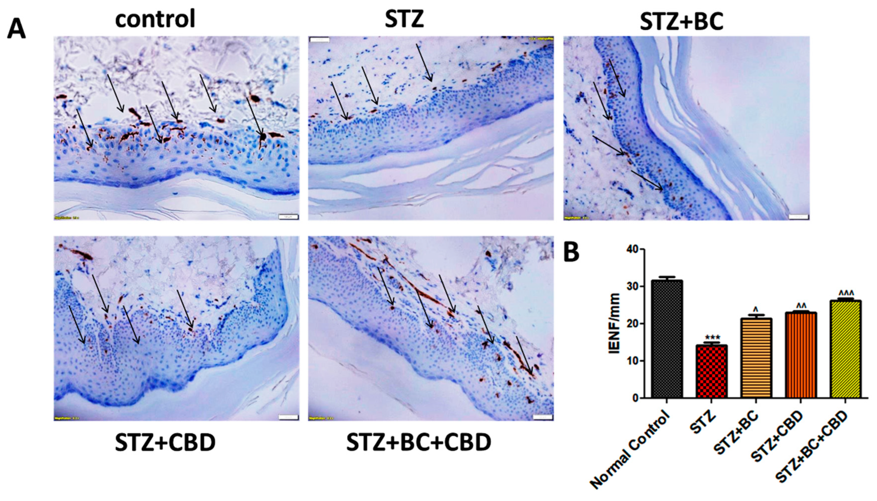 Preprints 105007 g012