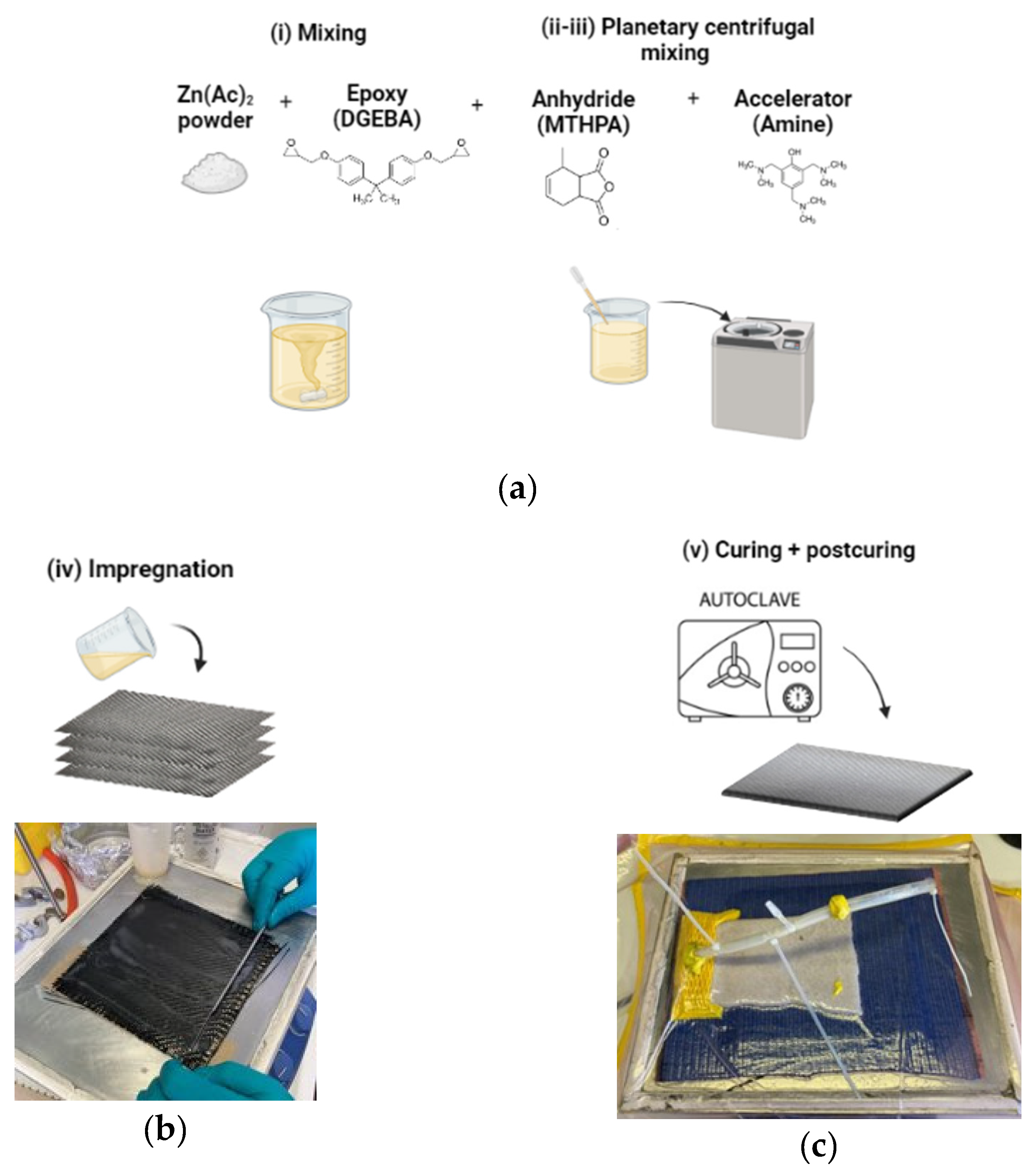 Preprints 81912 g001