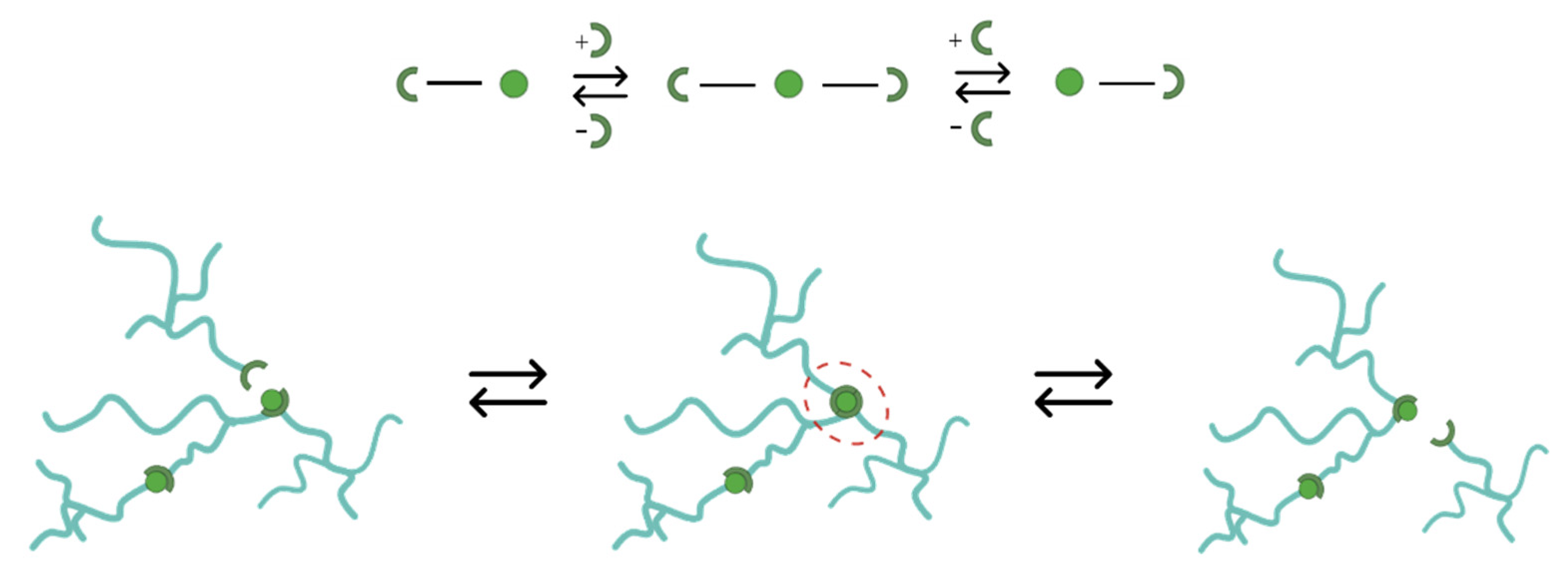 Preprints 81912 g012