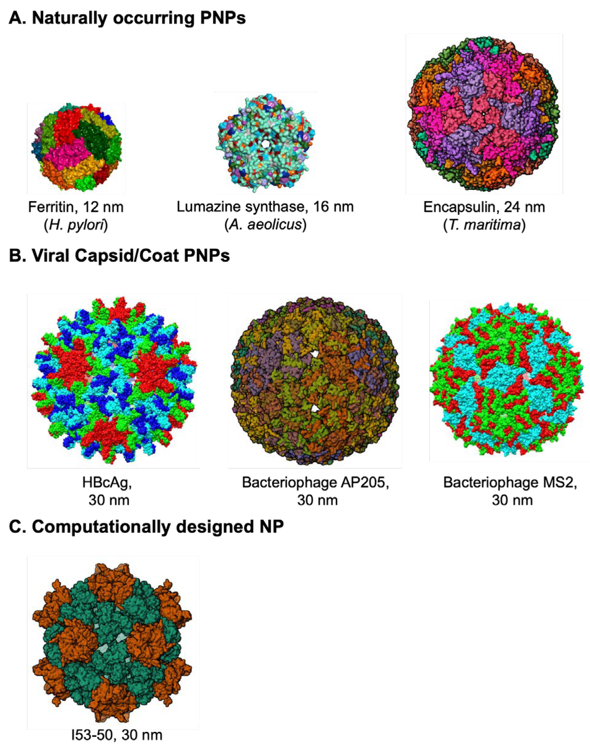 Preprints 105878 g001