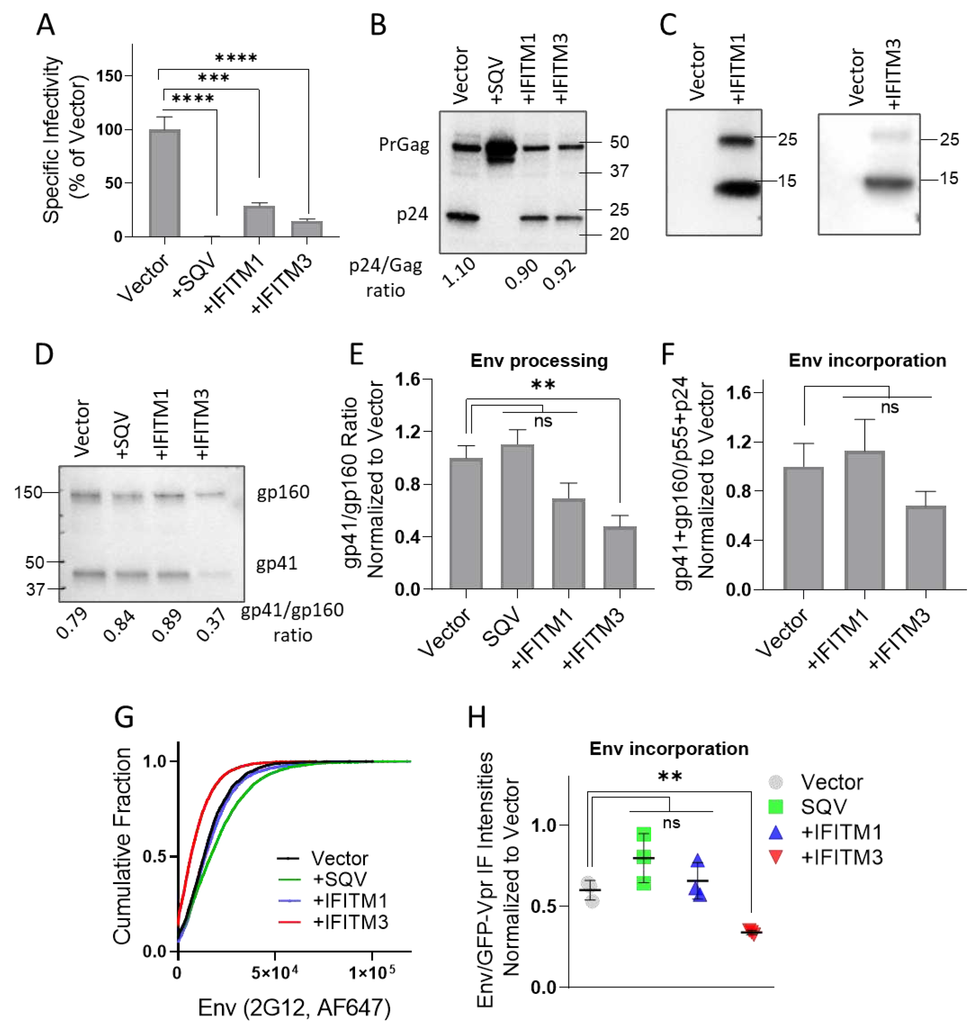 Preprints 84579 g001