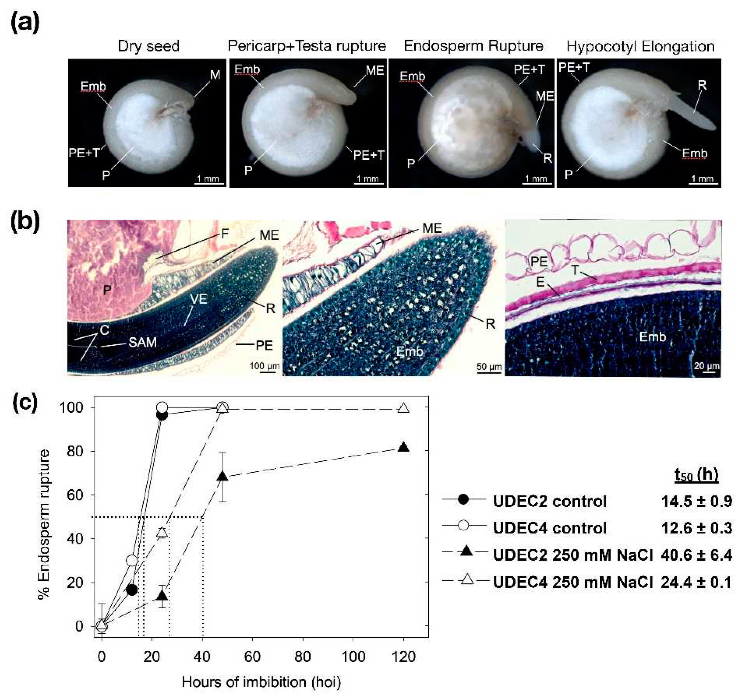 Preprints 85891 g001