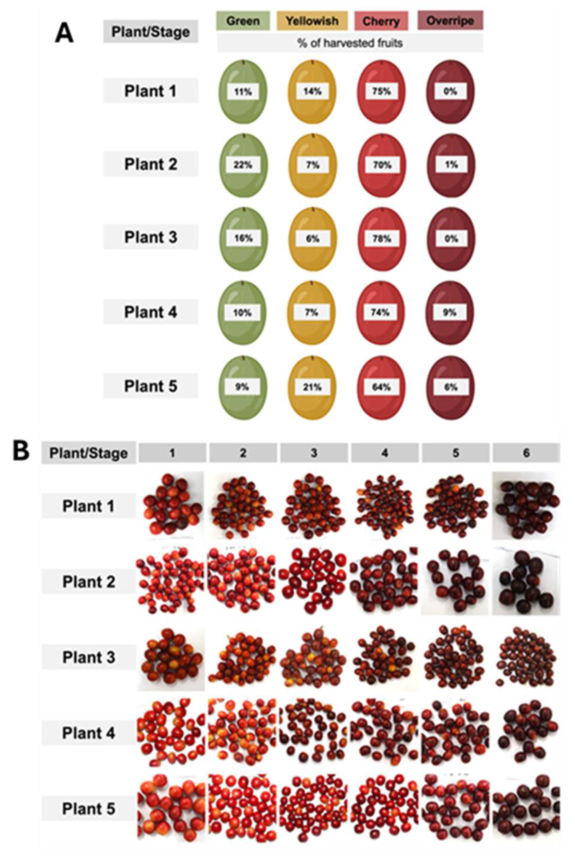 Preprints 107580 g001