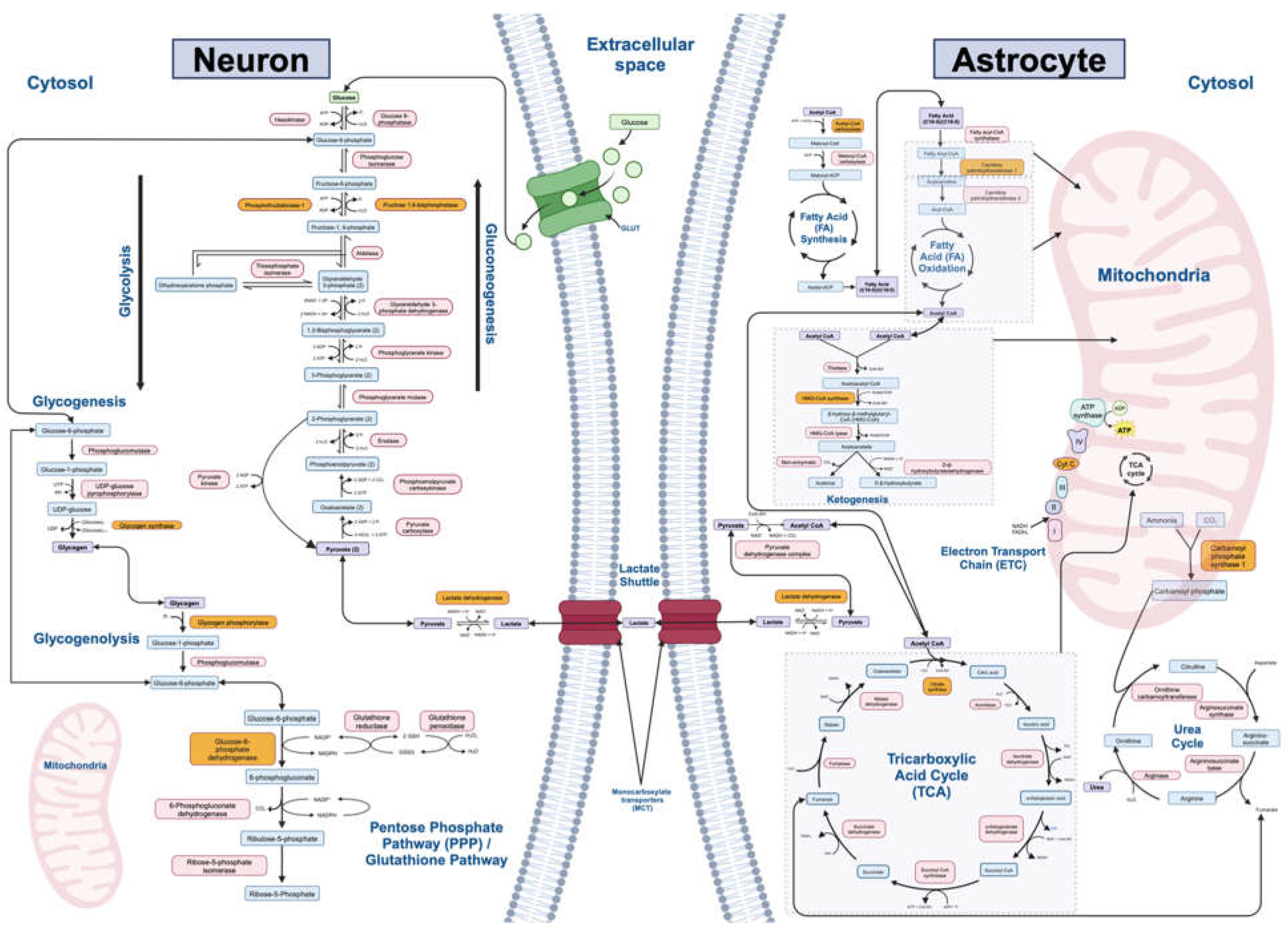 Preprints 108134 g002