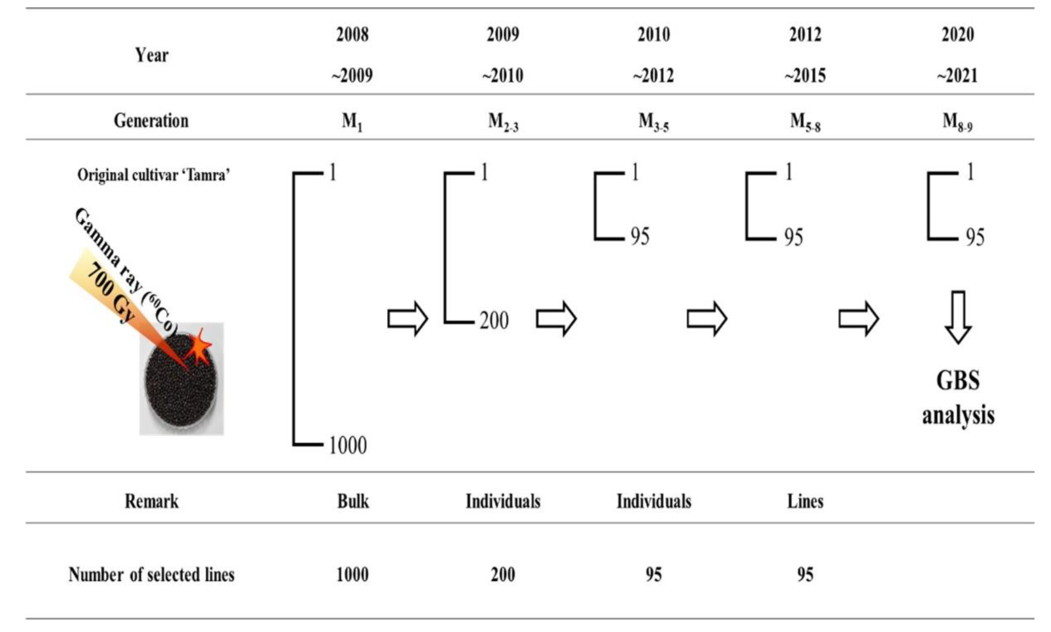 Preprints 71933 g001