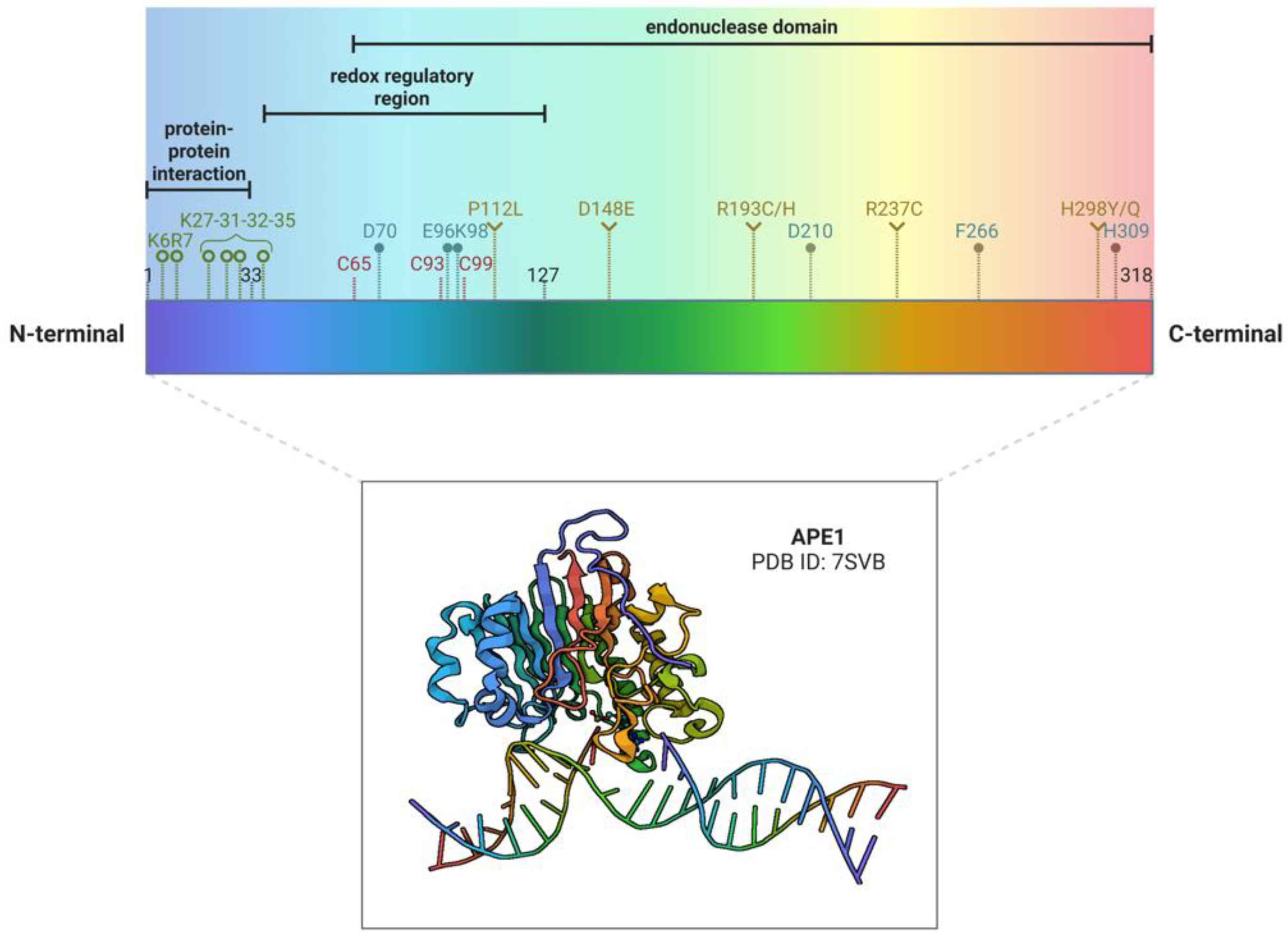 Preprints 75298 g001