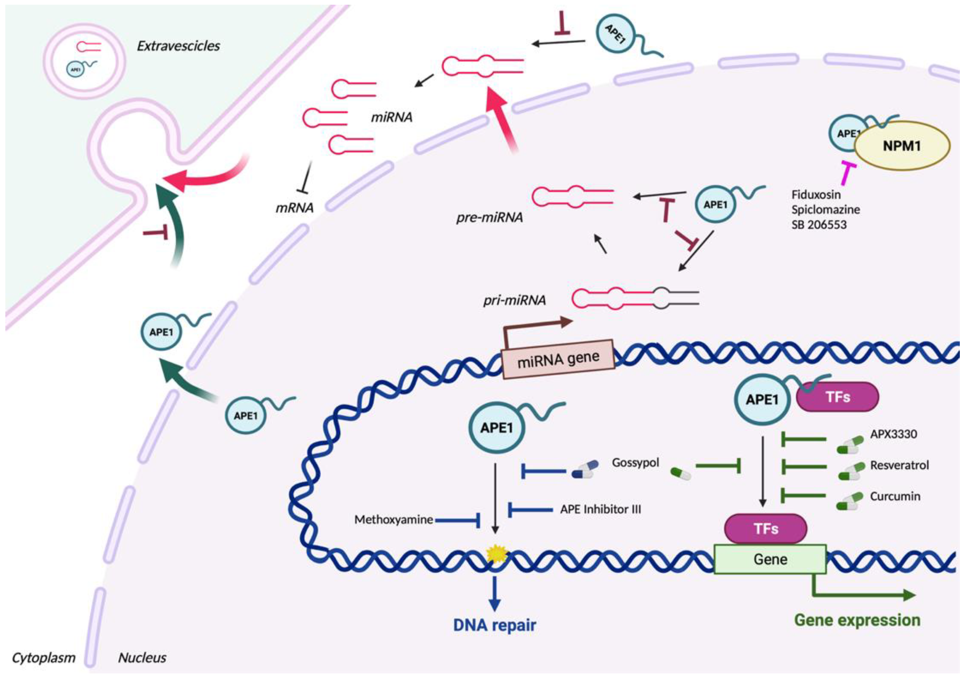 Preprints 75298 g002