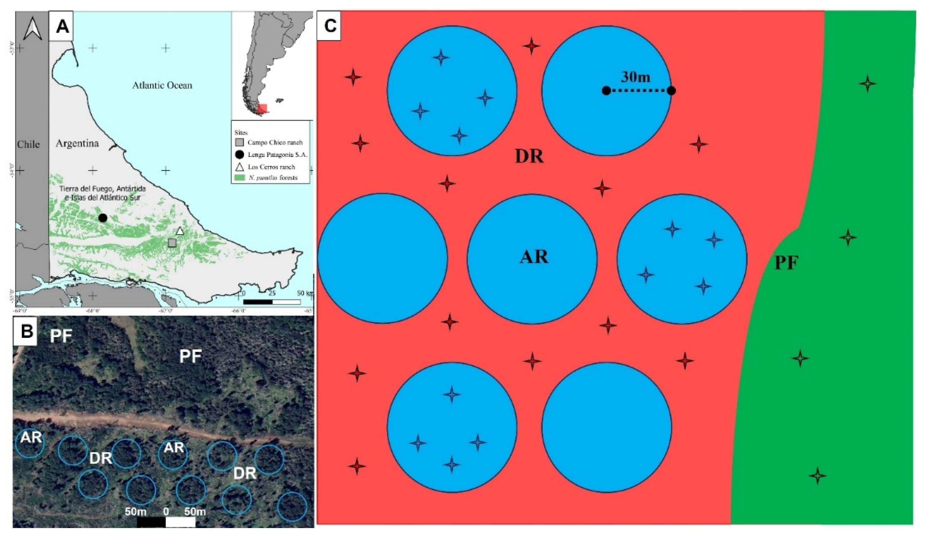 Preprints 118843 g001