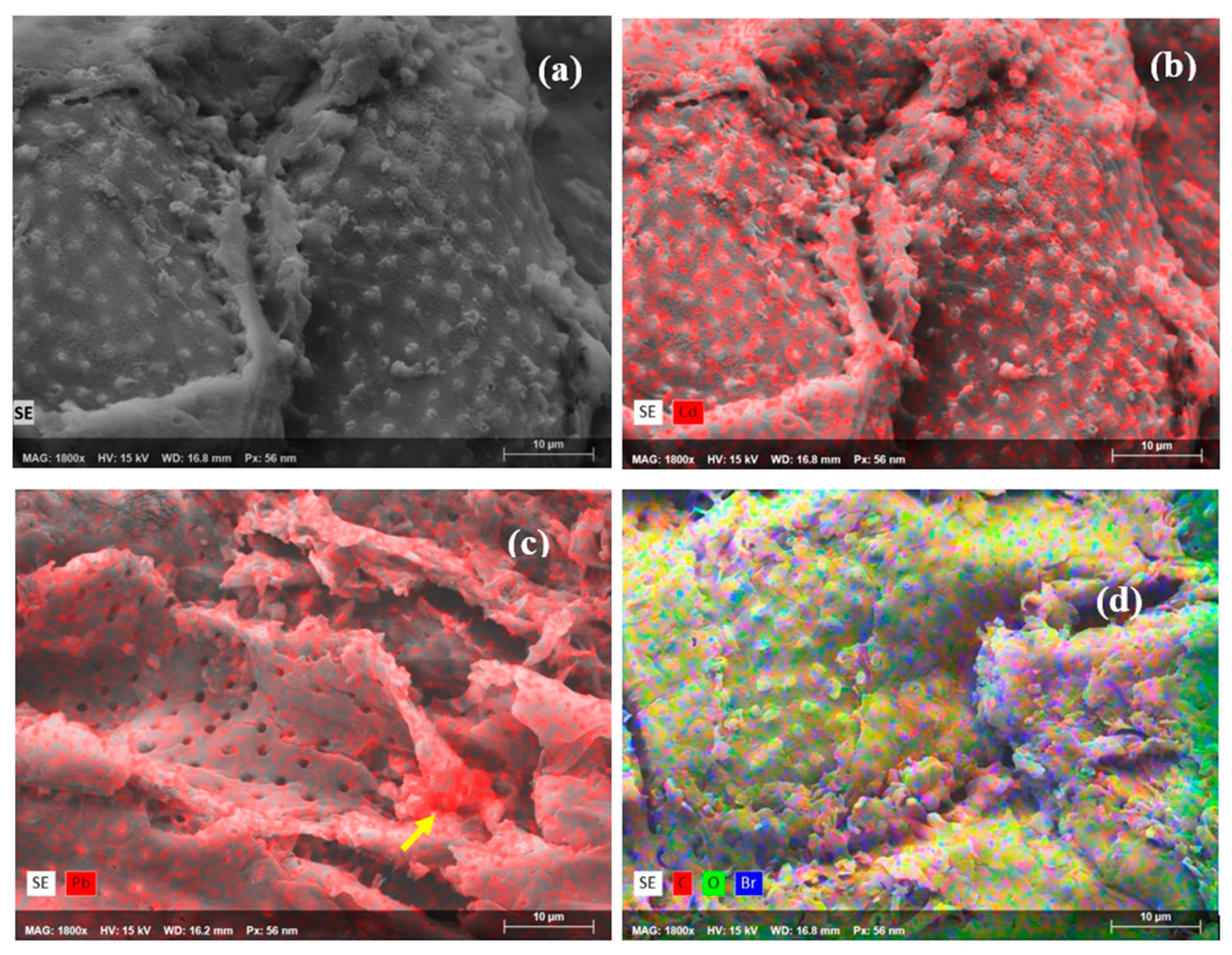 Preprints 142178 g005