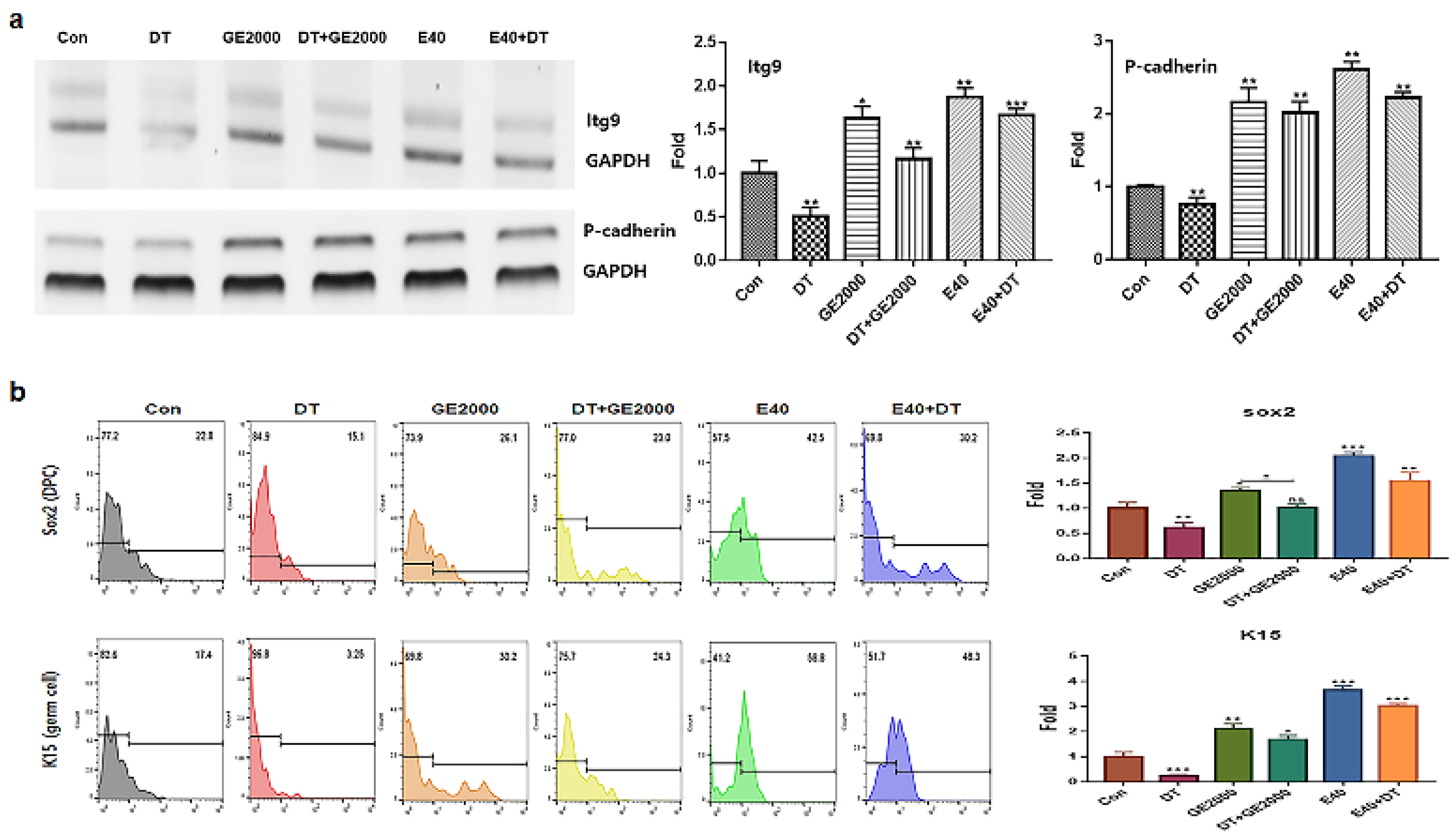 Preprints 107655 g003