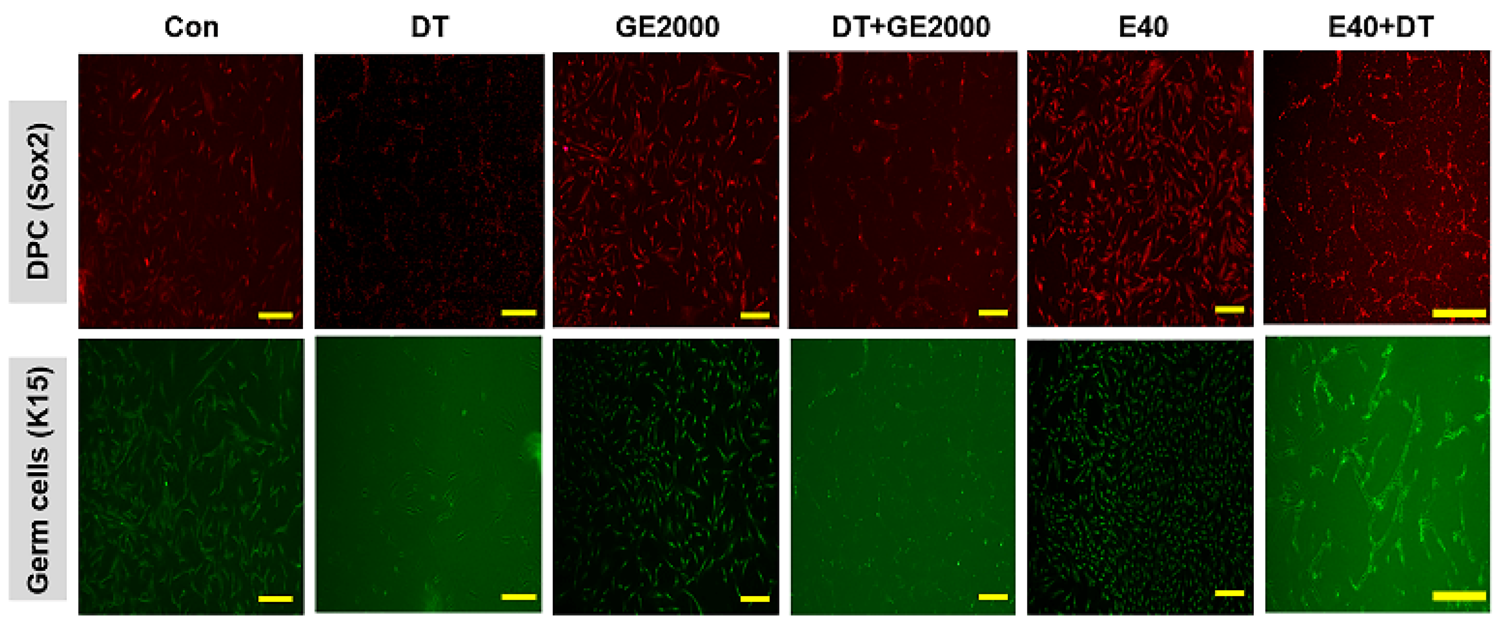 Preprints 107655 g004