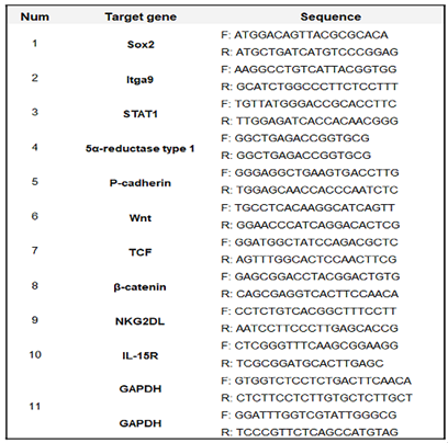 Preprints 107655 i001