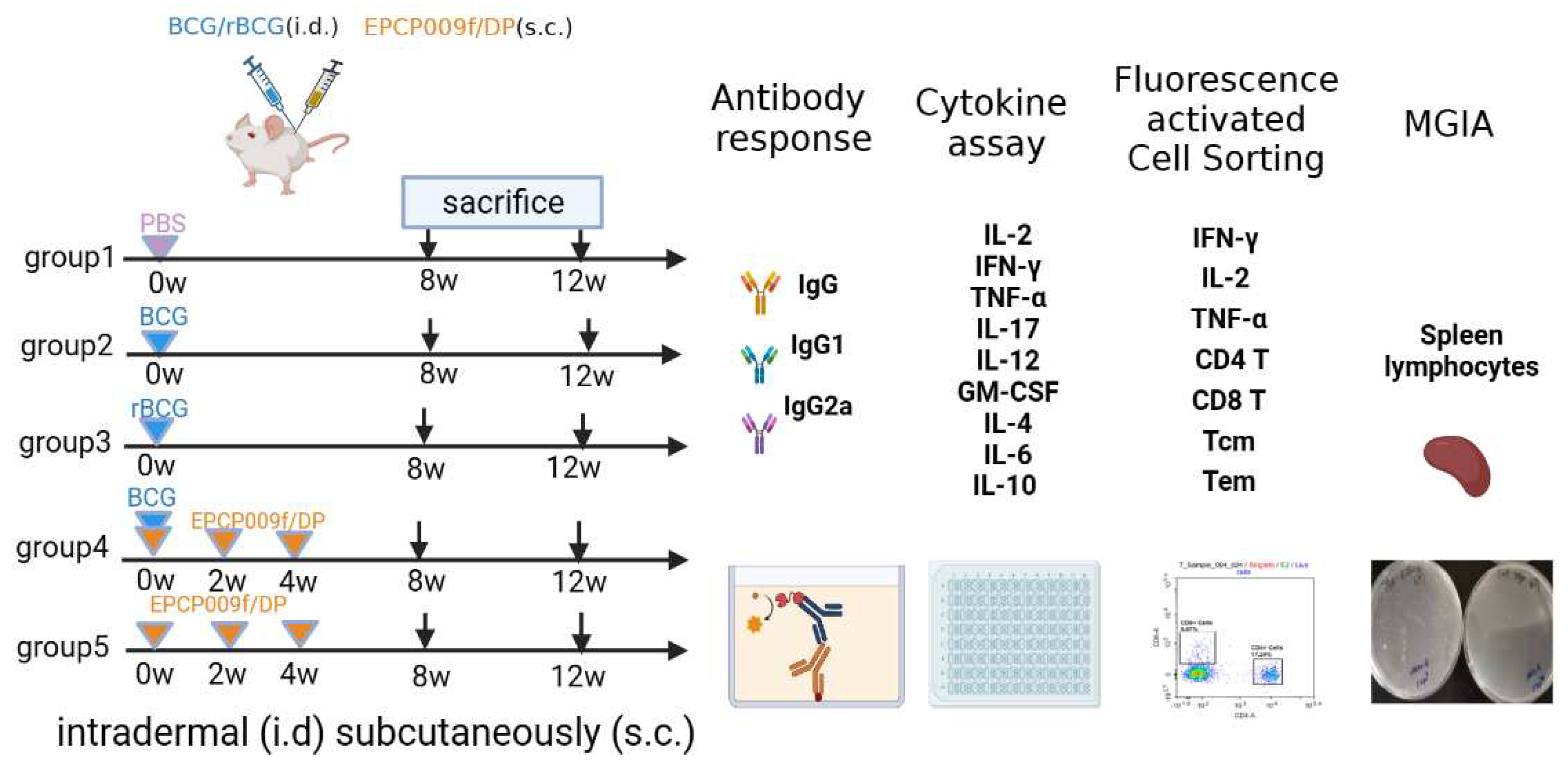 Preprints 87584 g001