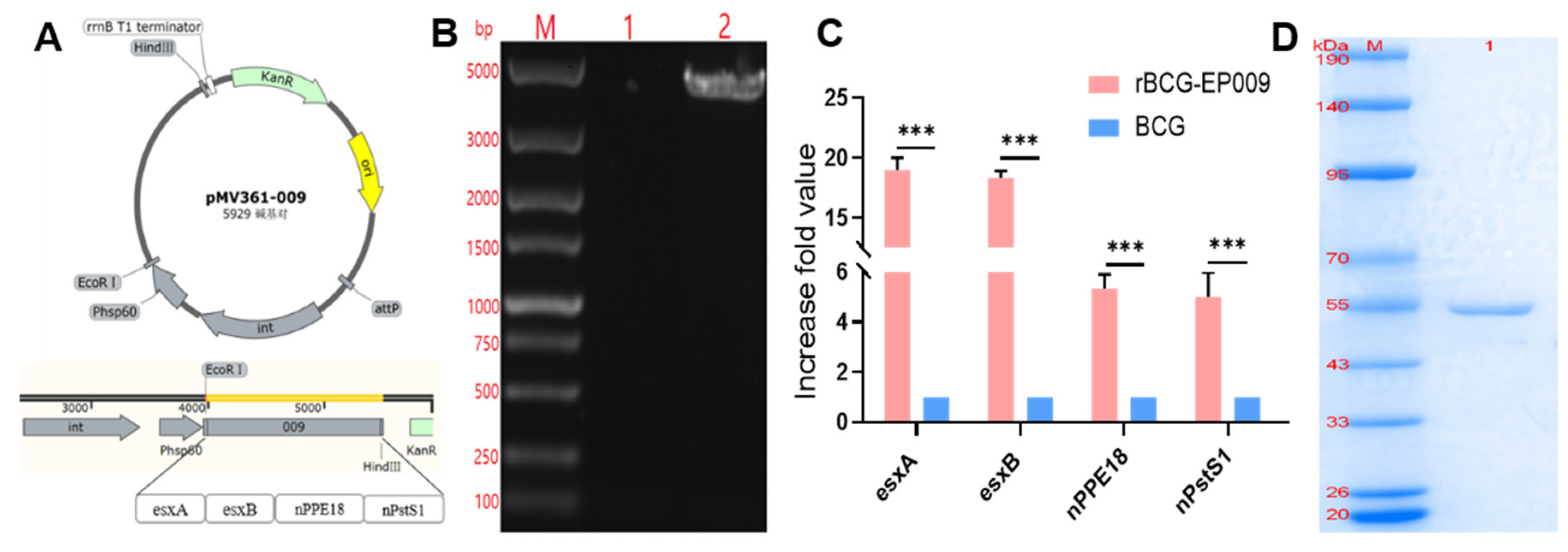 Preprints 87584 g002