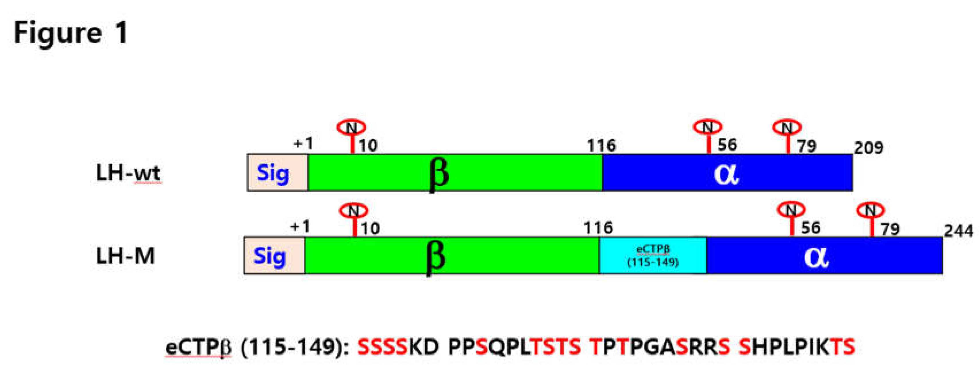 Preprints 106610 g001