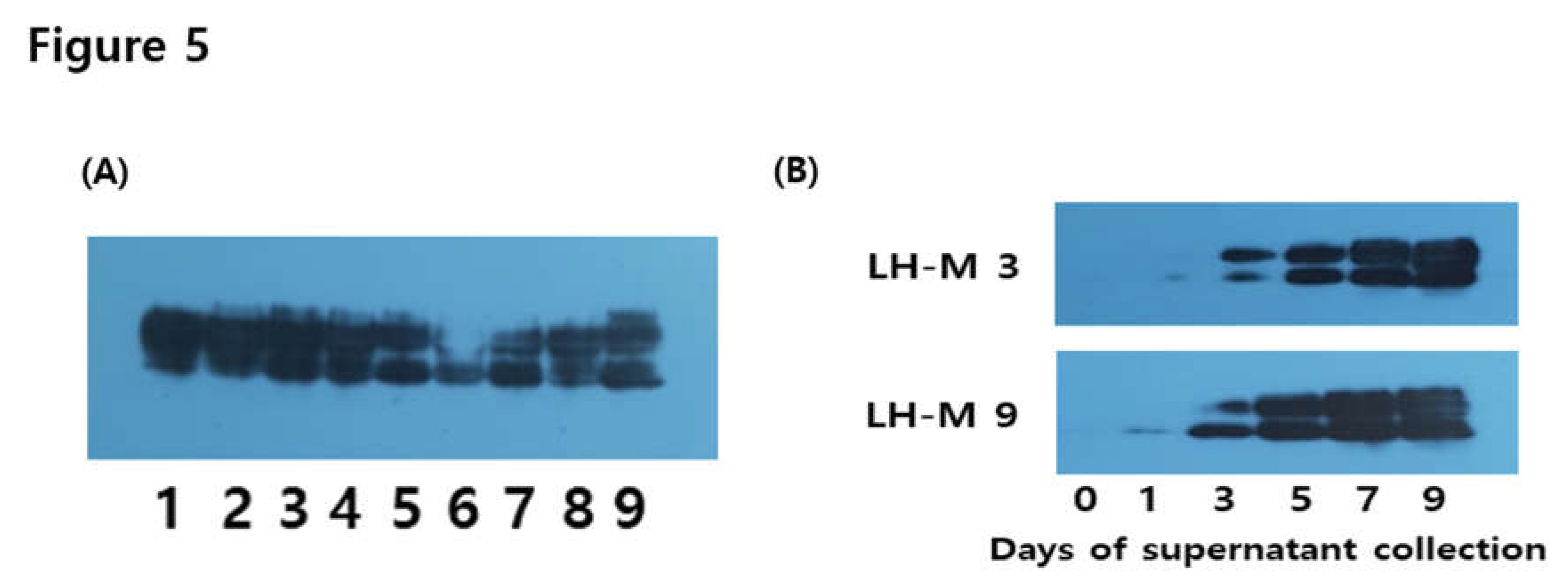 Preprints 106610 g005