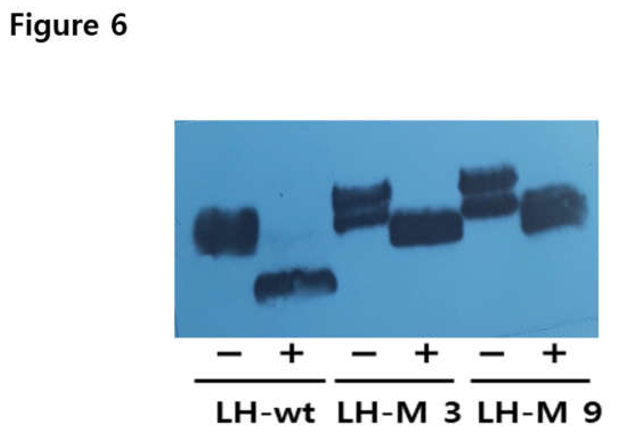 Preprints 106610 g006